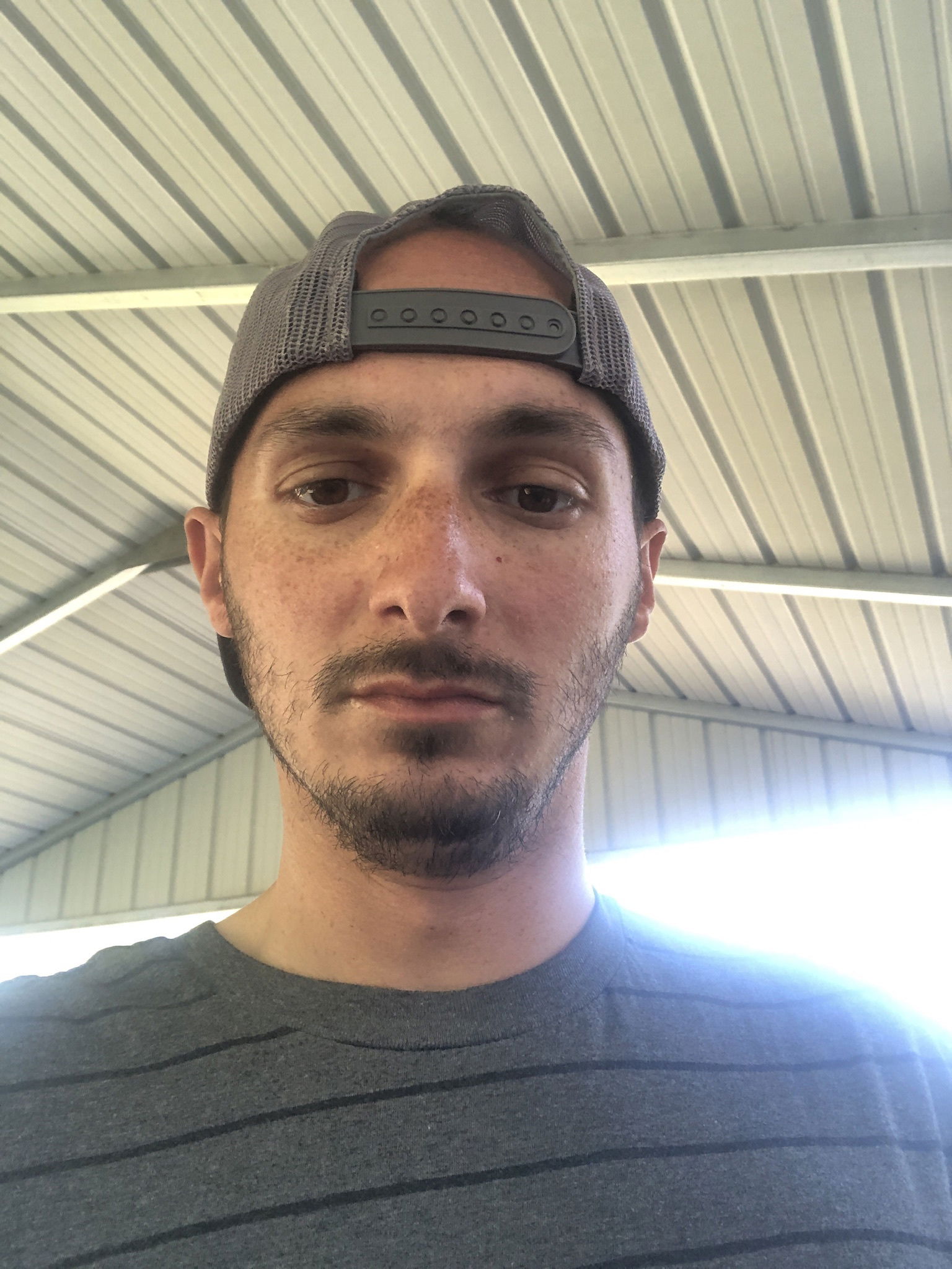 Matt's avatar