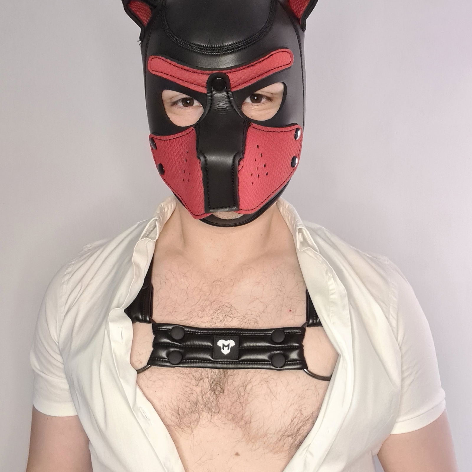 mrgemini's avatar