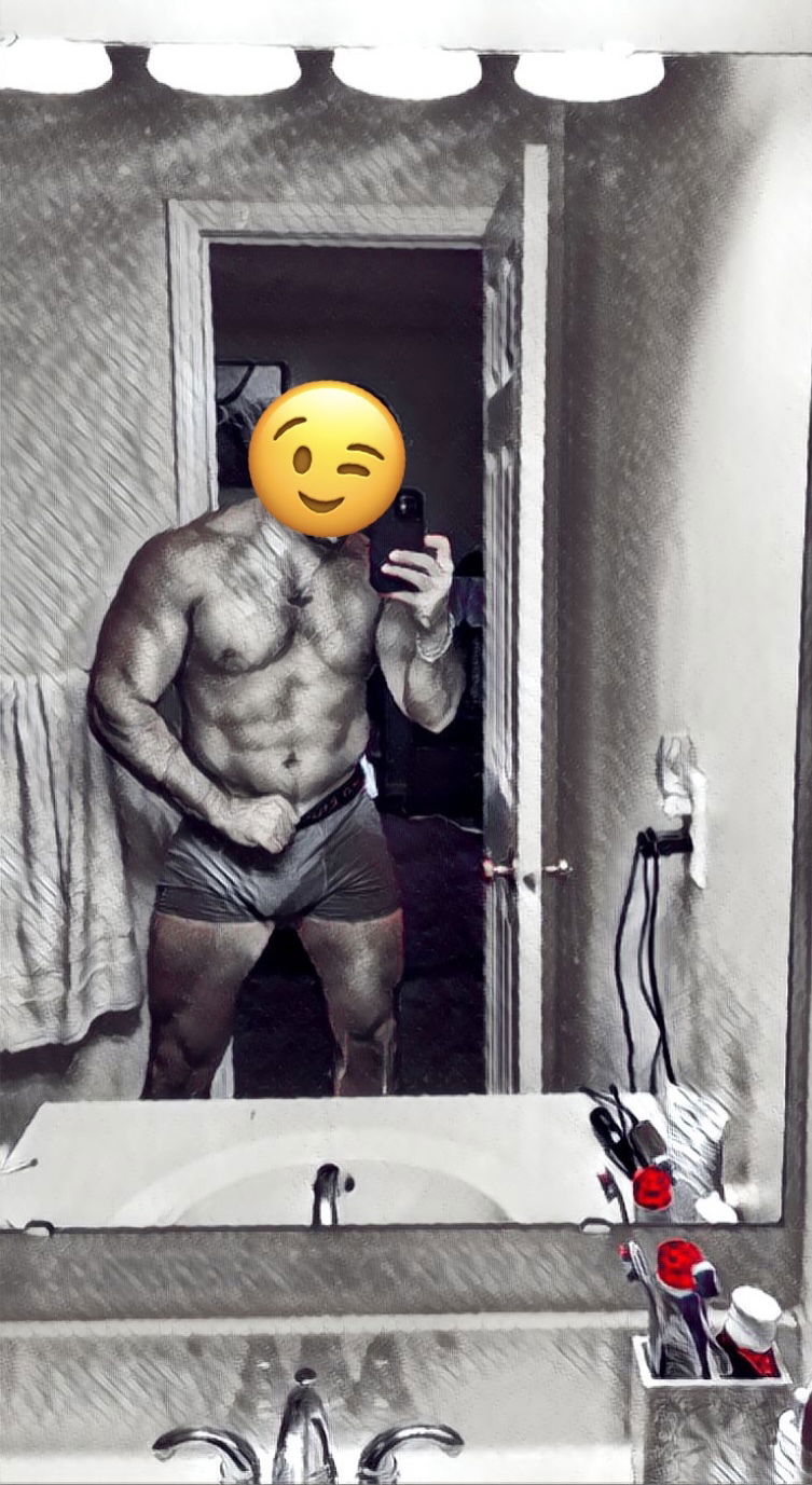 Persian Gorilla's avatar