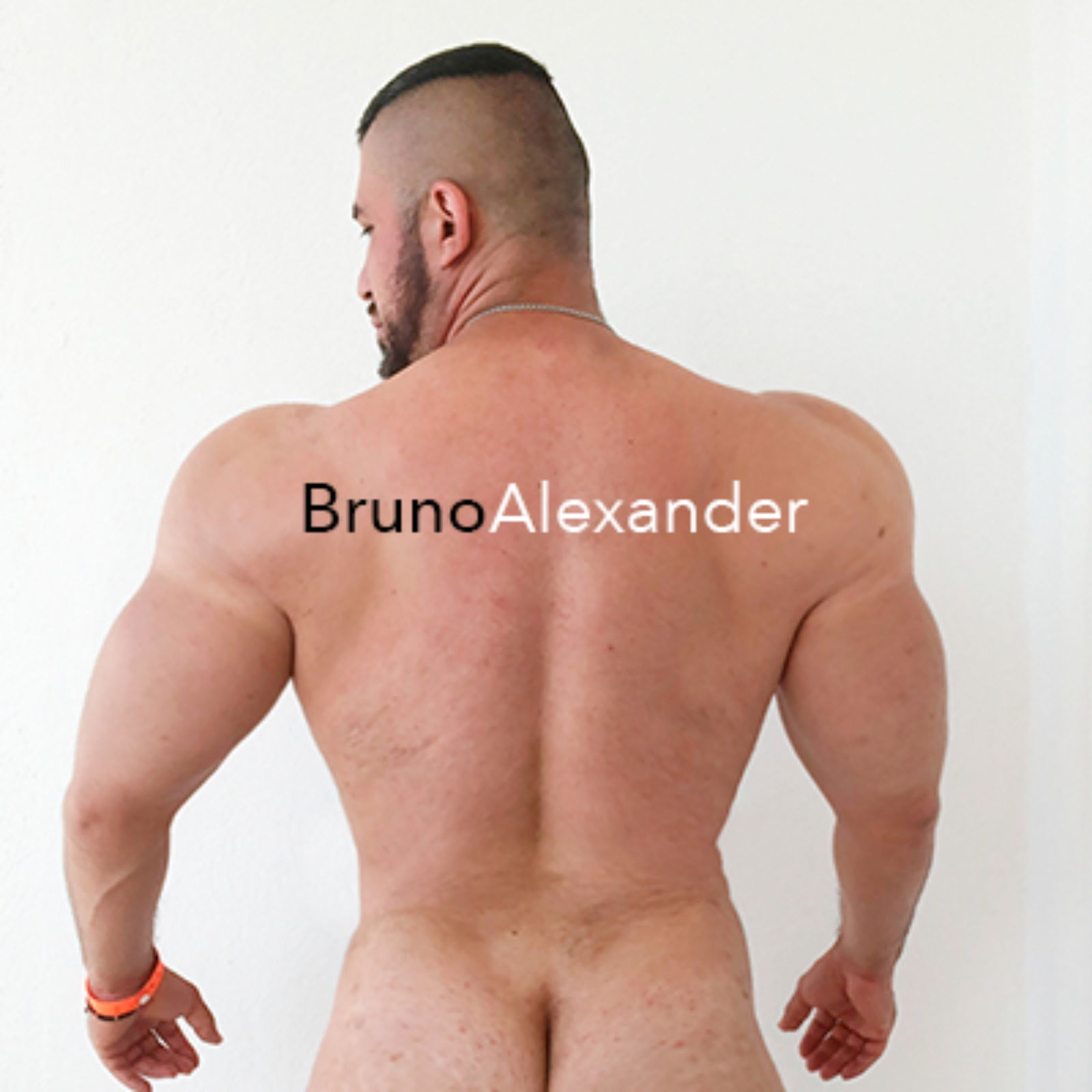 Bruno Alexander Santander