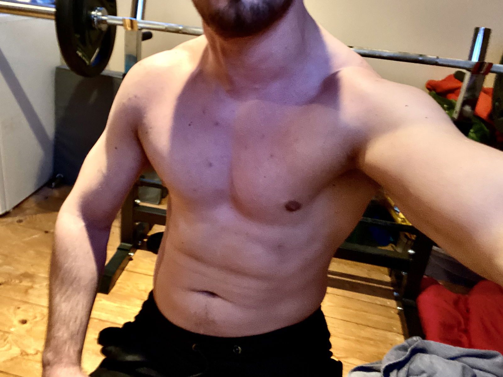 Muscle Adam's avatar