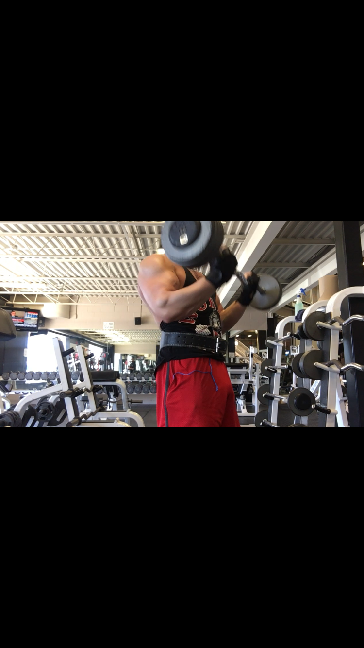 Muscle