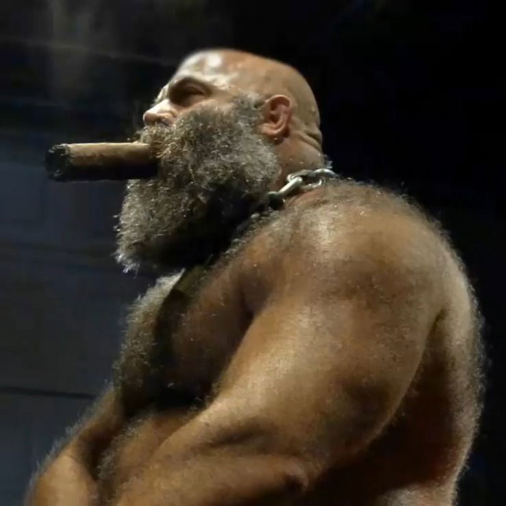 Muscle Bulls's avatar