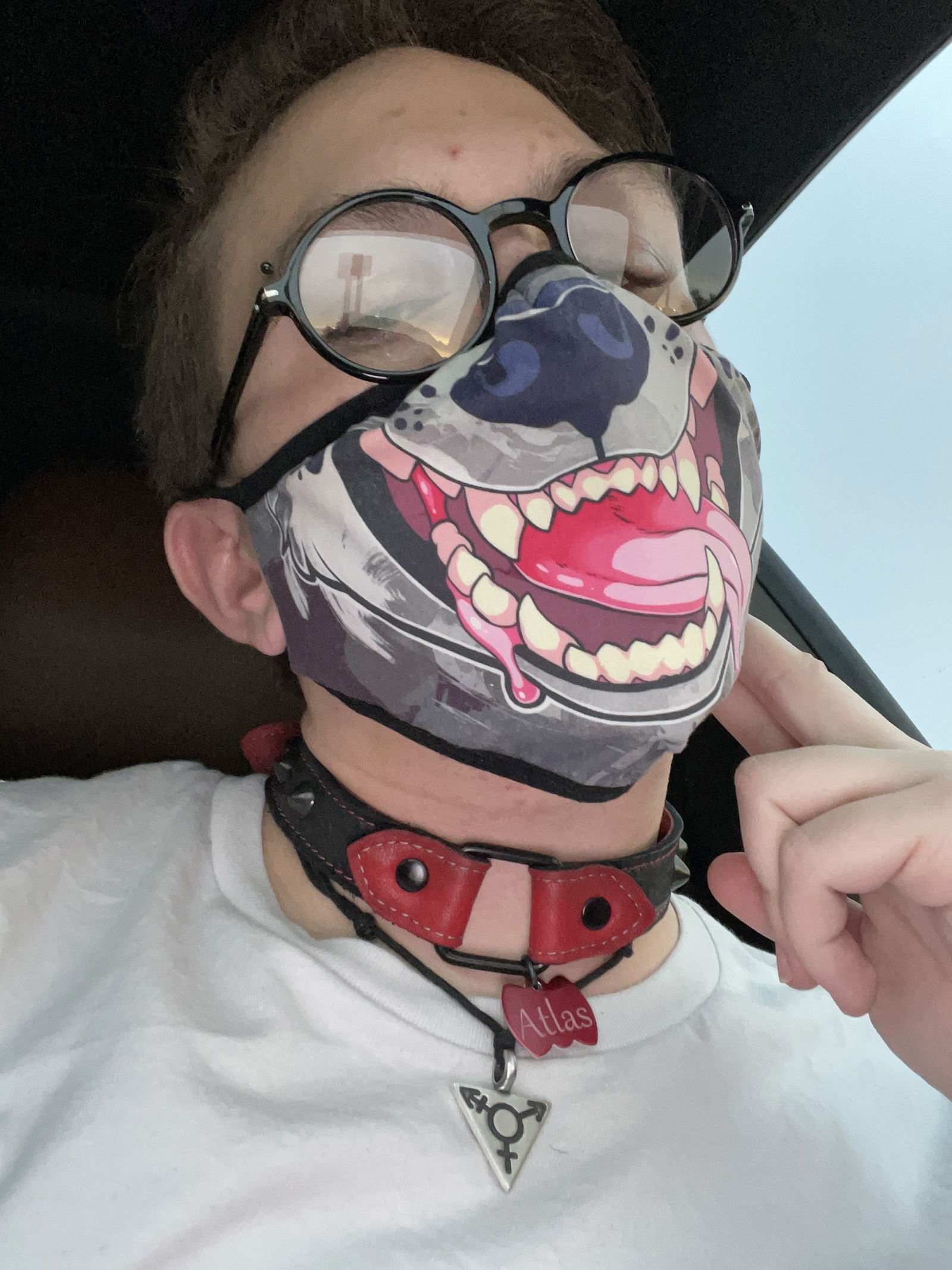 Breedable Mutt's avatar