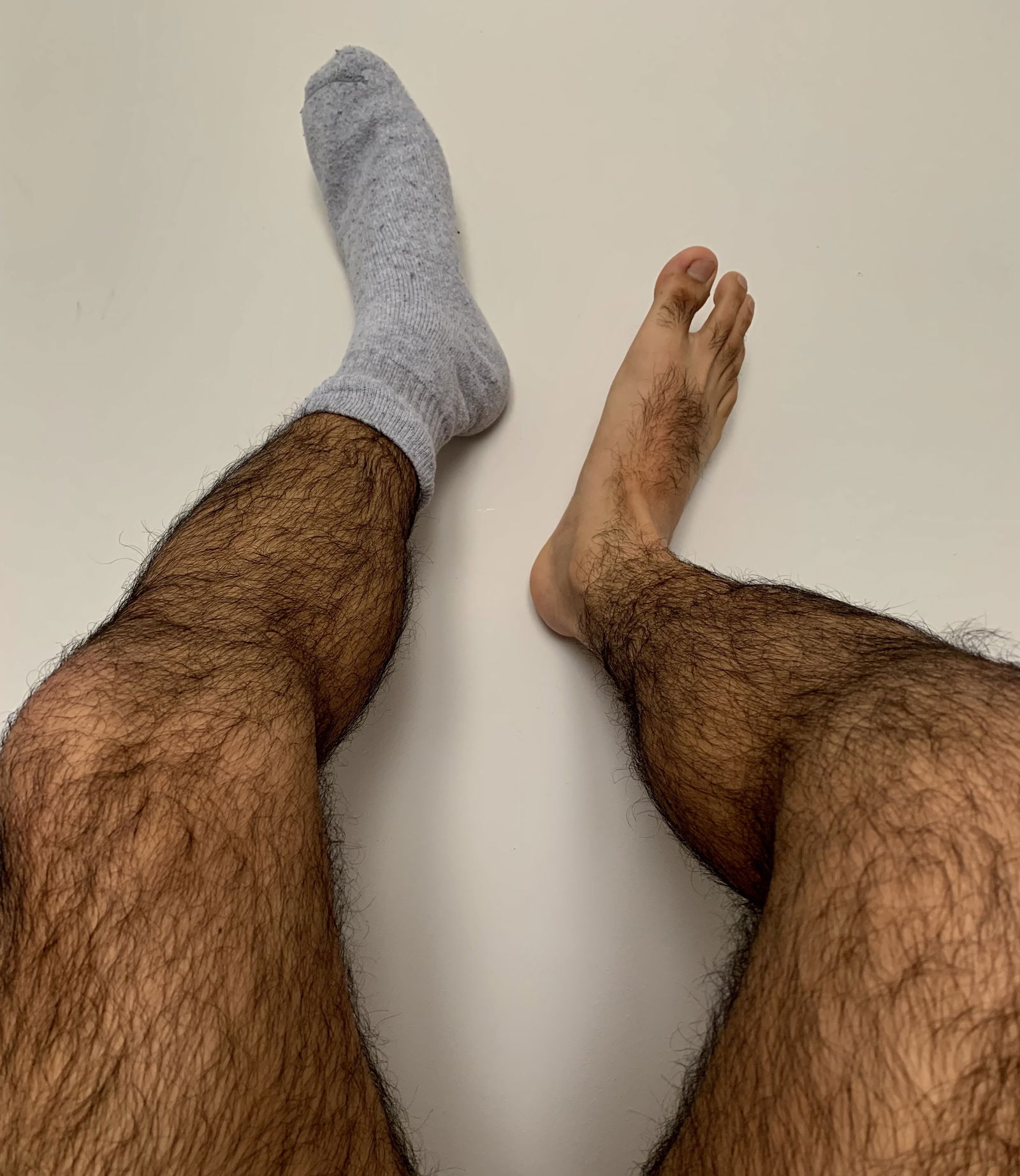 My Hairy Legs's avatar