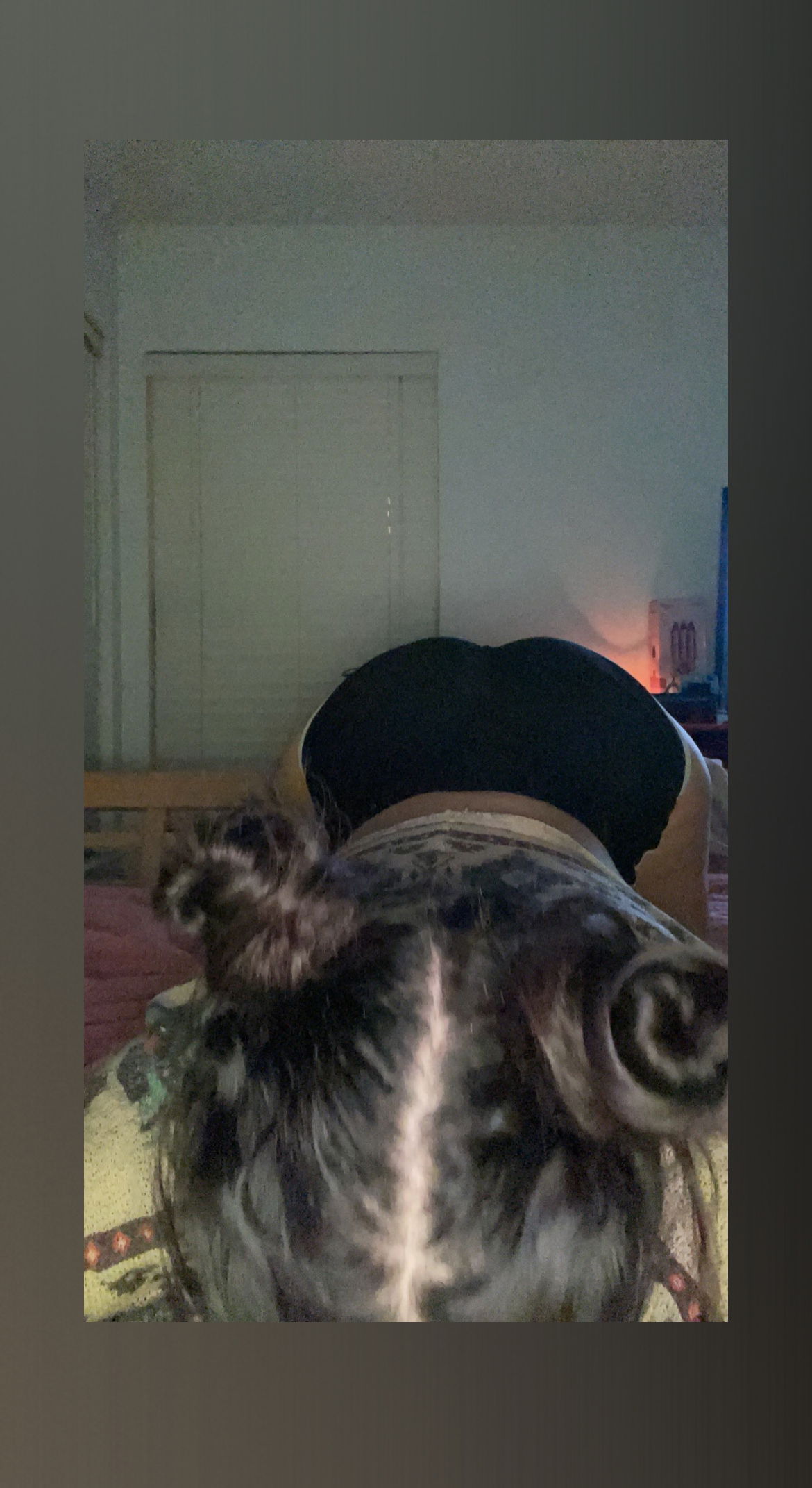 Aliena 👽's avatar