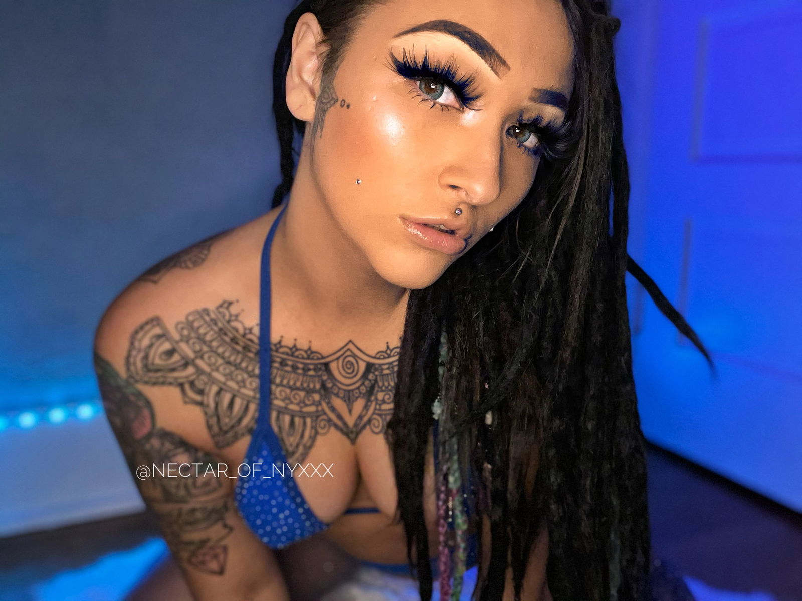 ✨ᑎY᙭’ᔕ ᕼOᑎEY ᑭOT🍯's avatar