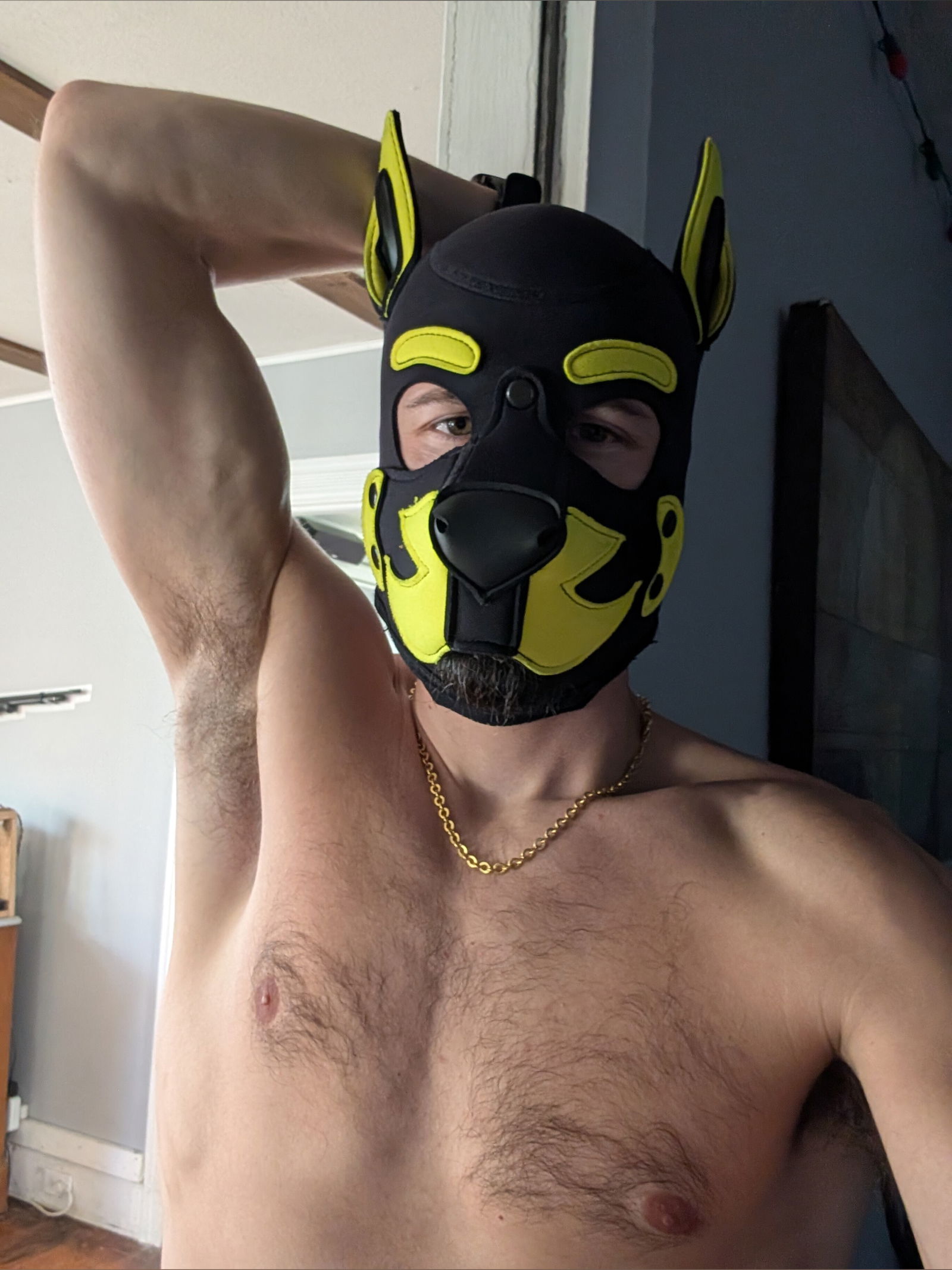 Nicwoh's avatar