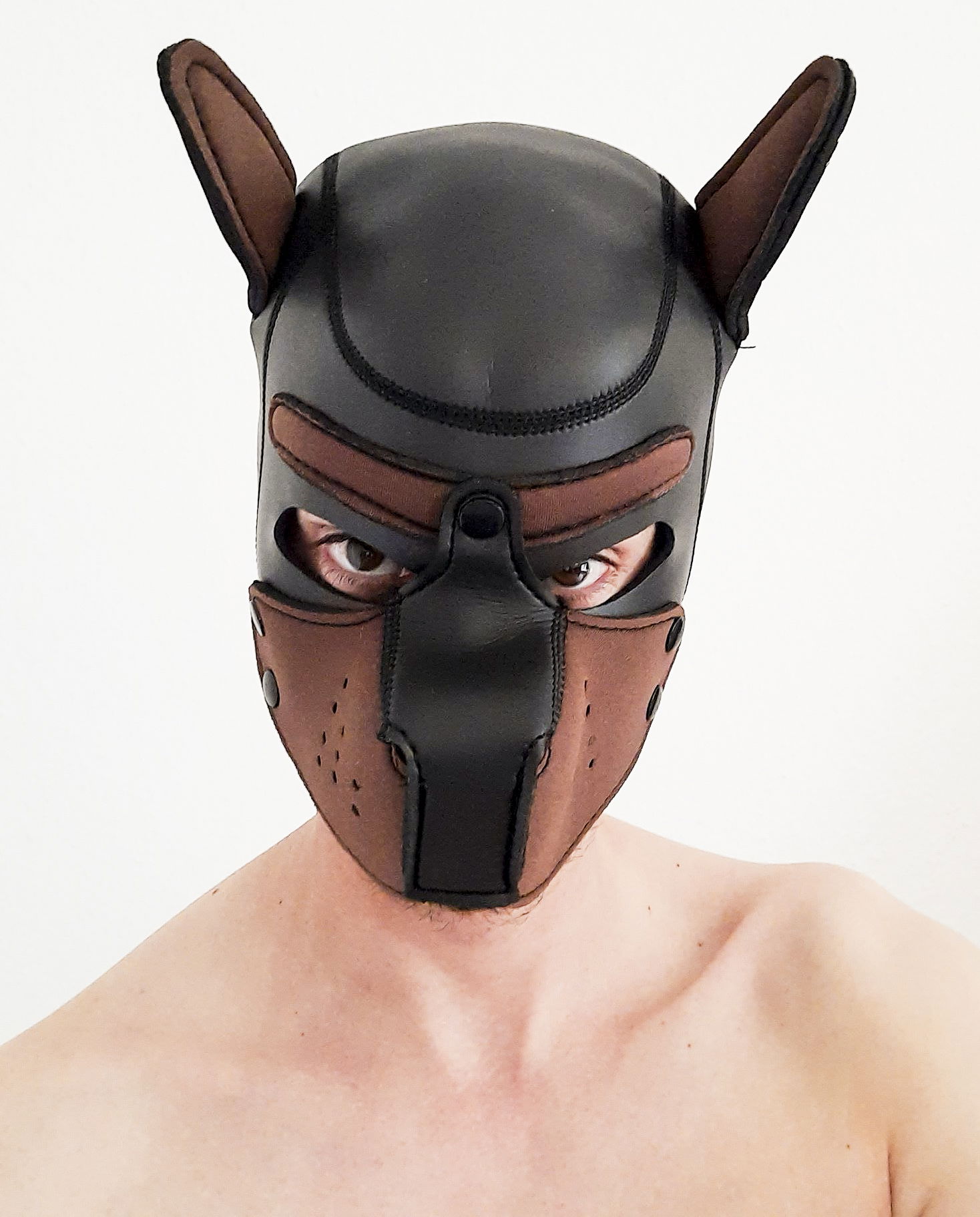 Nimrodfkk's avatar