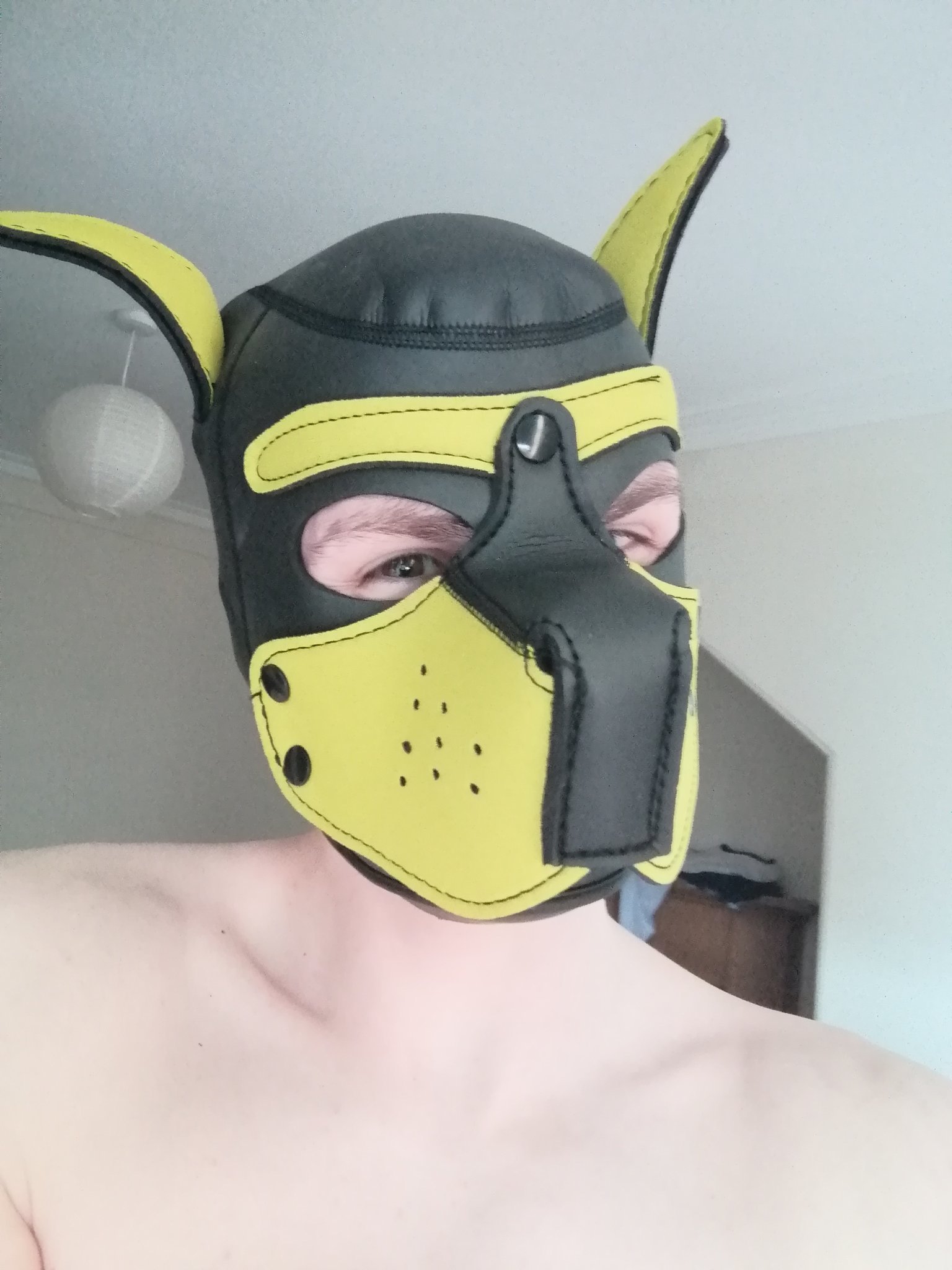 PupNoobie's avatar