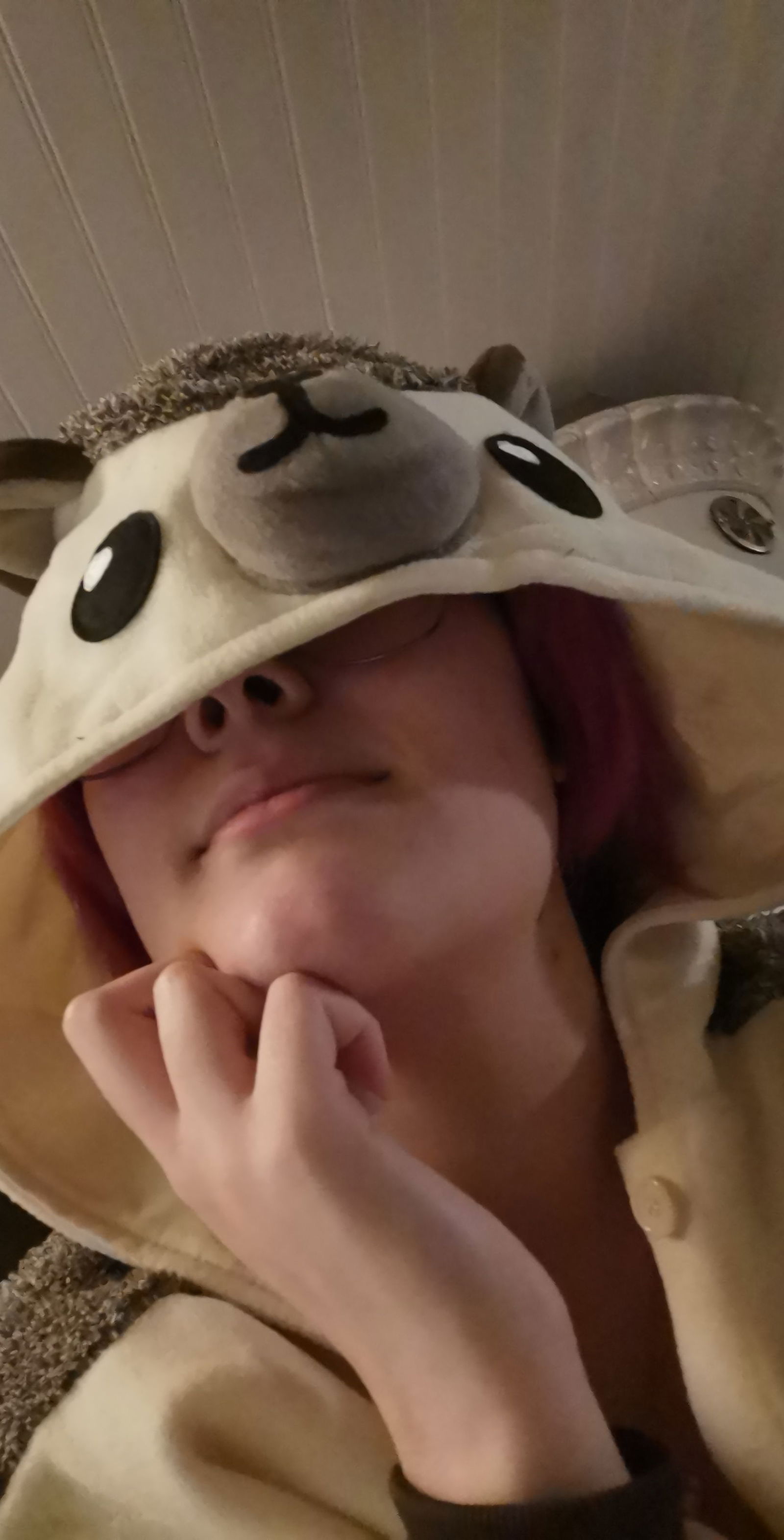 Nordic Kitten <3's avatar