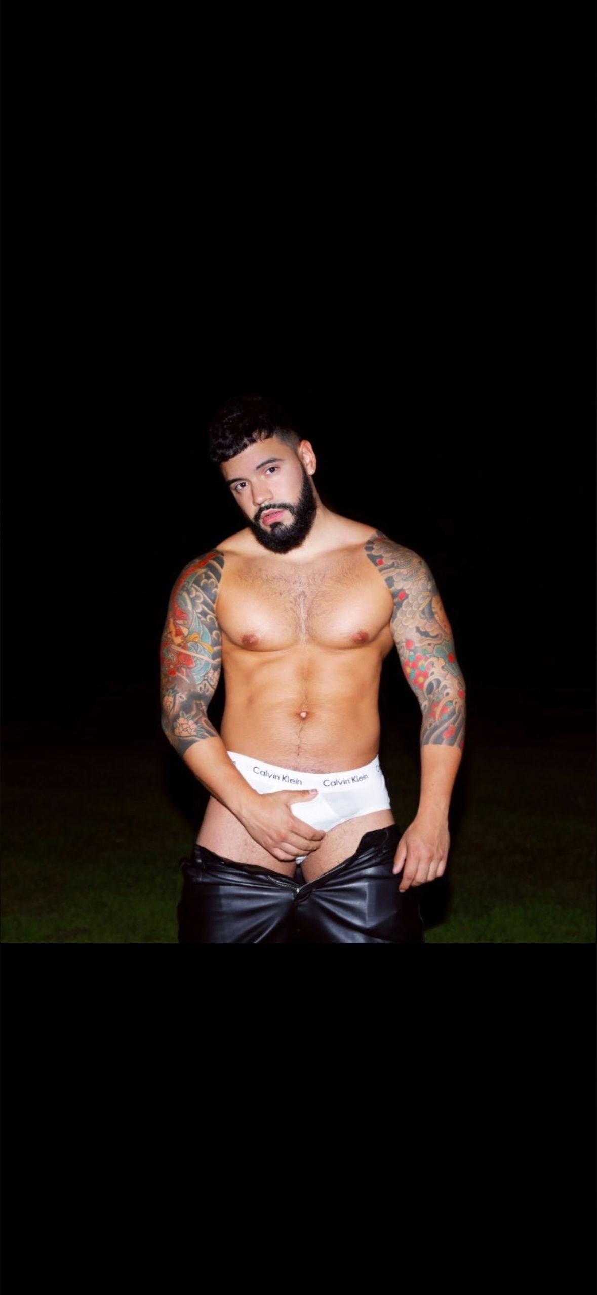 novela_papi