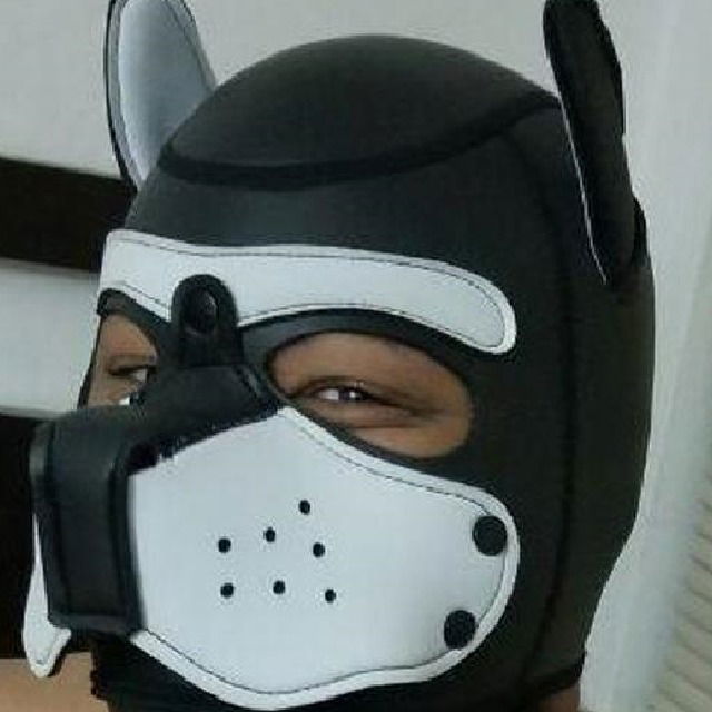 ChubbyNewfie or Midekai's avatar