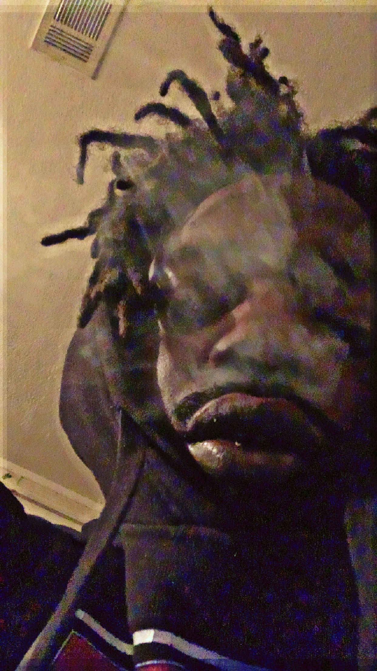 NSFW's avatar