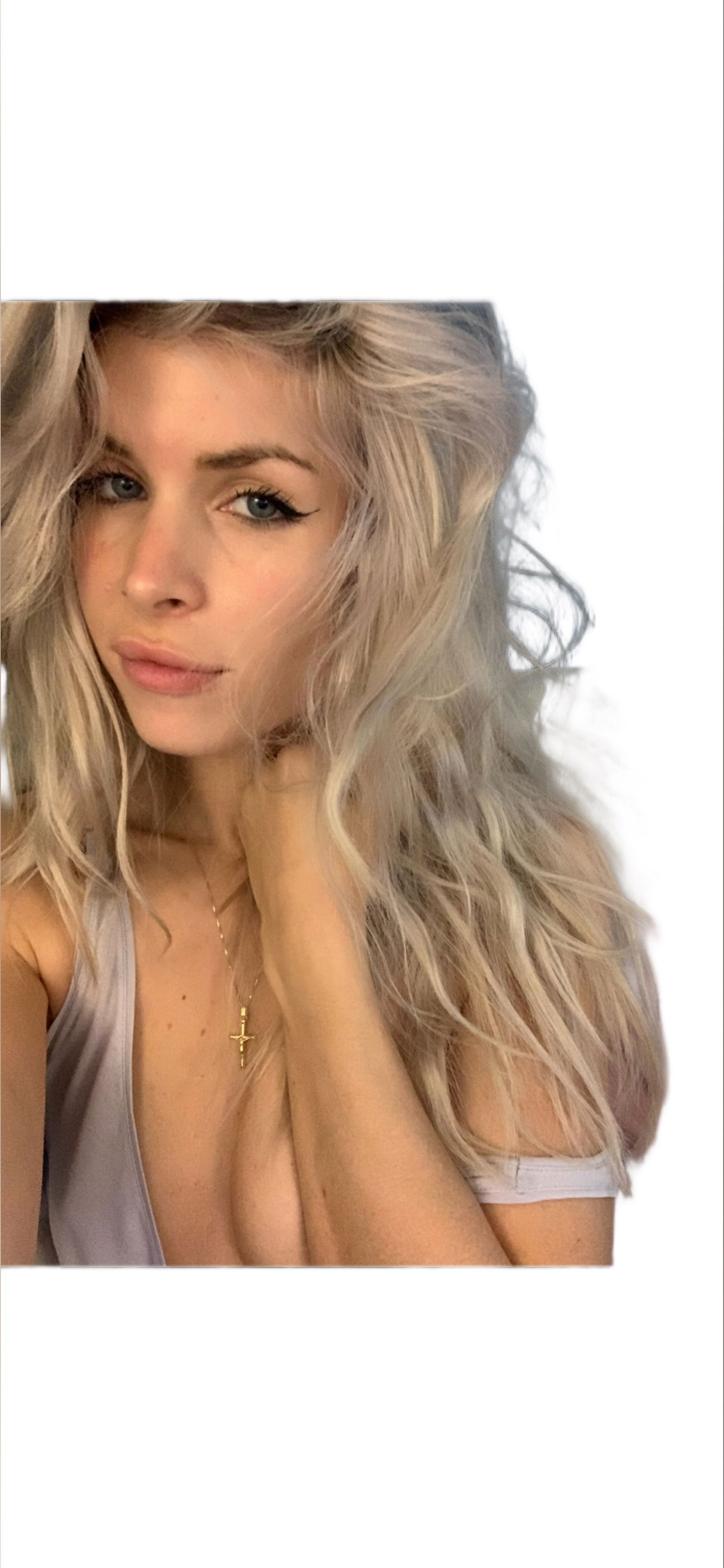 ocicat