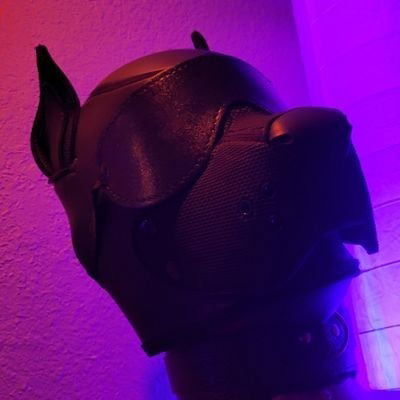 OneStretchyPup's avatar