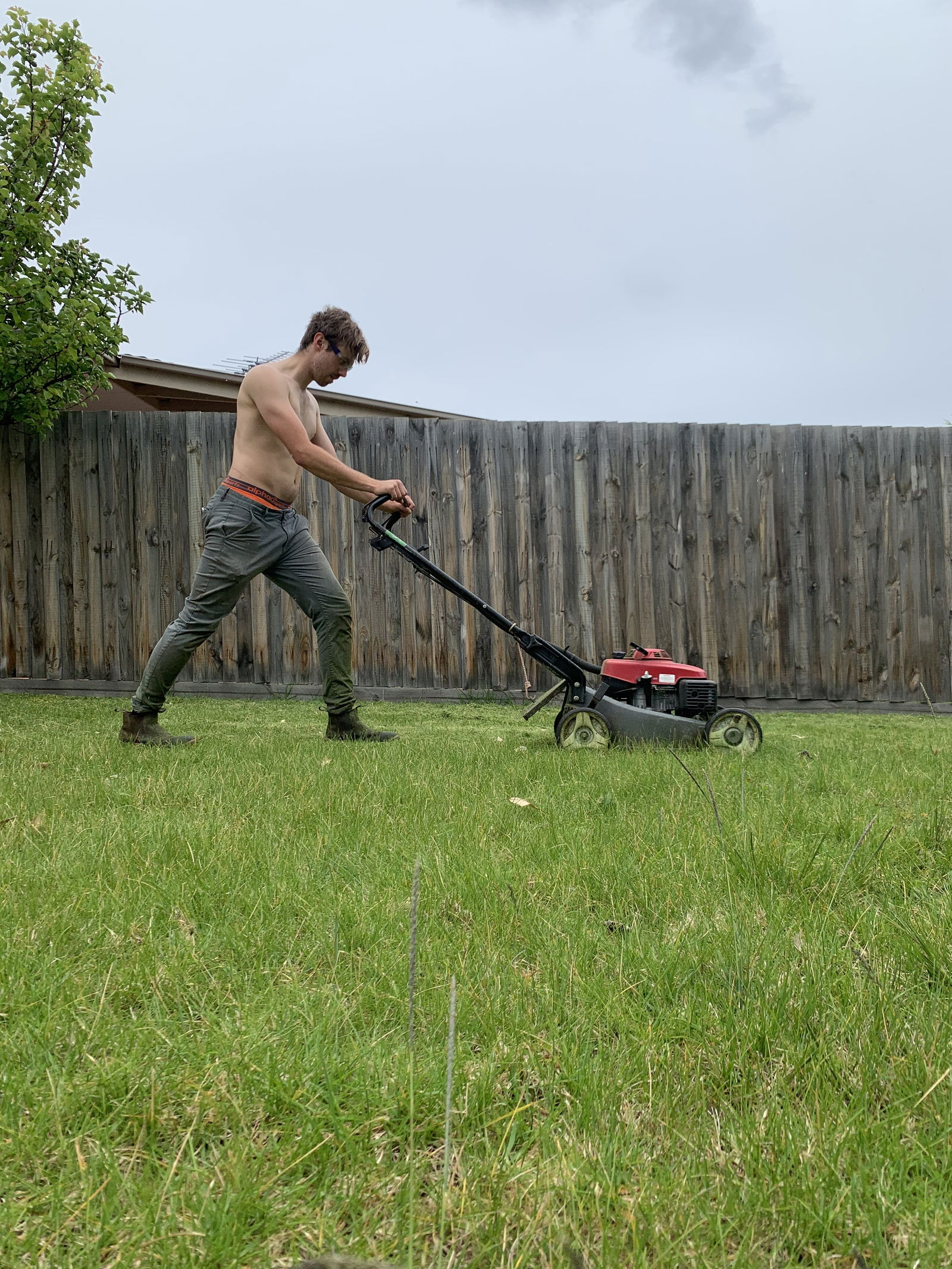Only Lawns's avatar