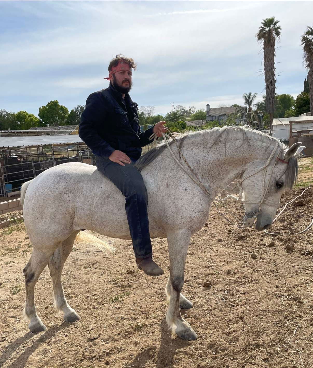 Toño Moreno's avatar