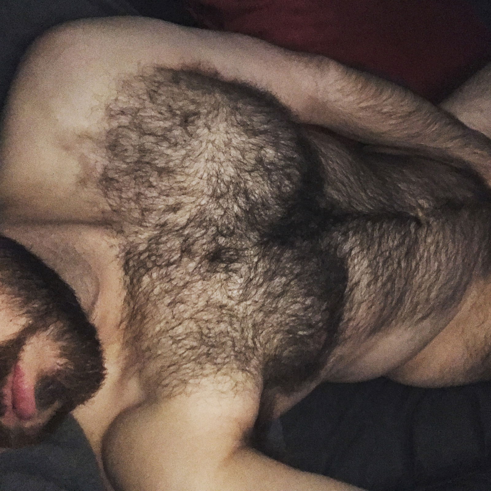 Hairy Bush Bro's avatar