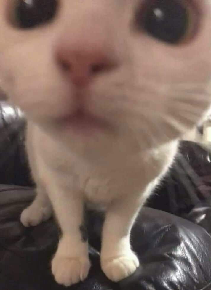Oxidap's avatar