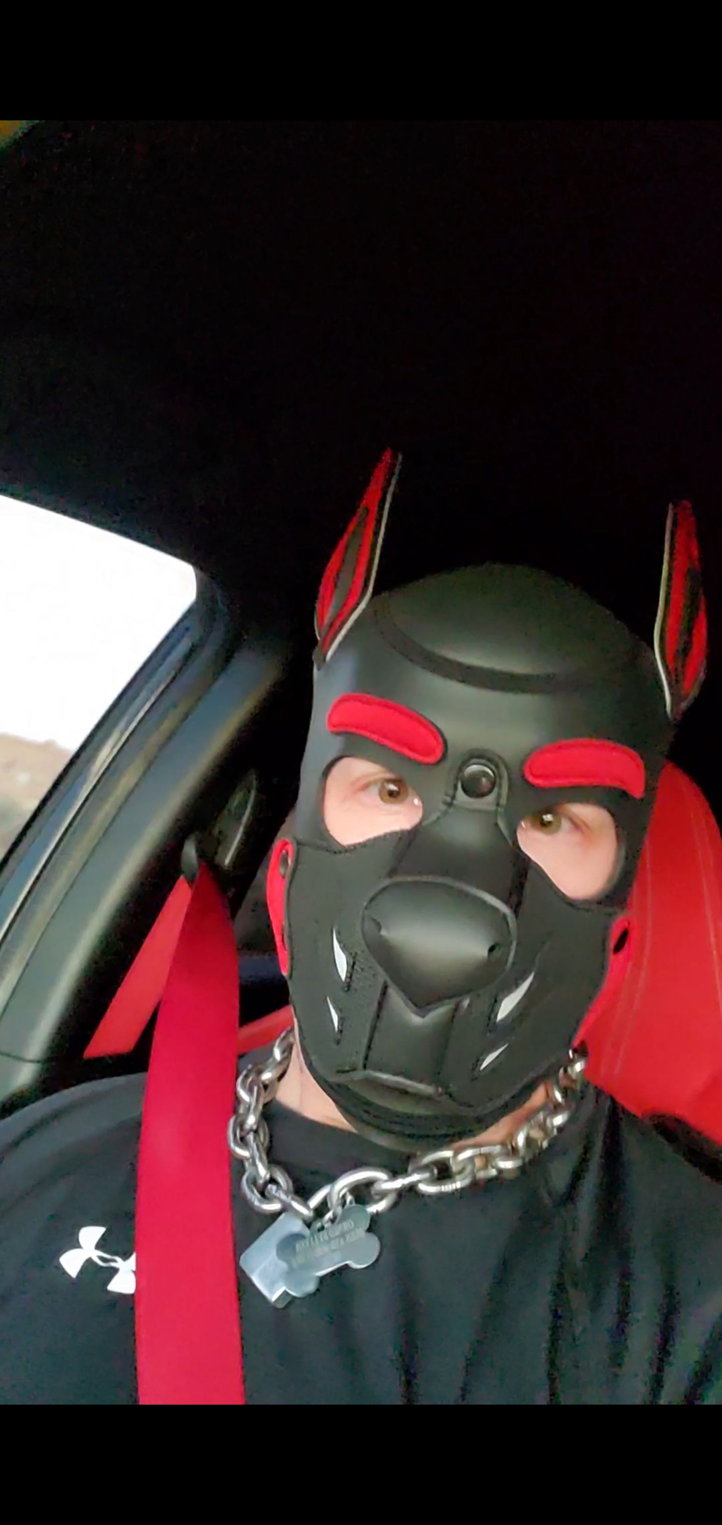 Ozkar ThePup's avatar