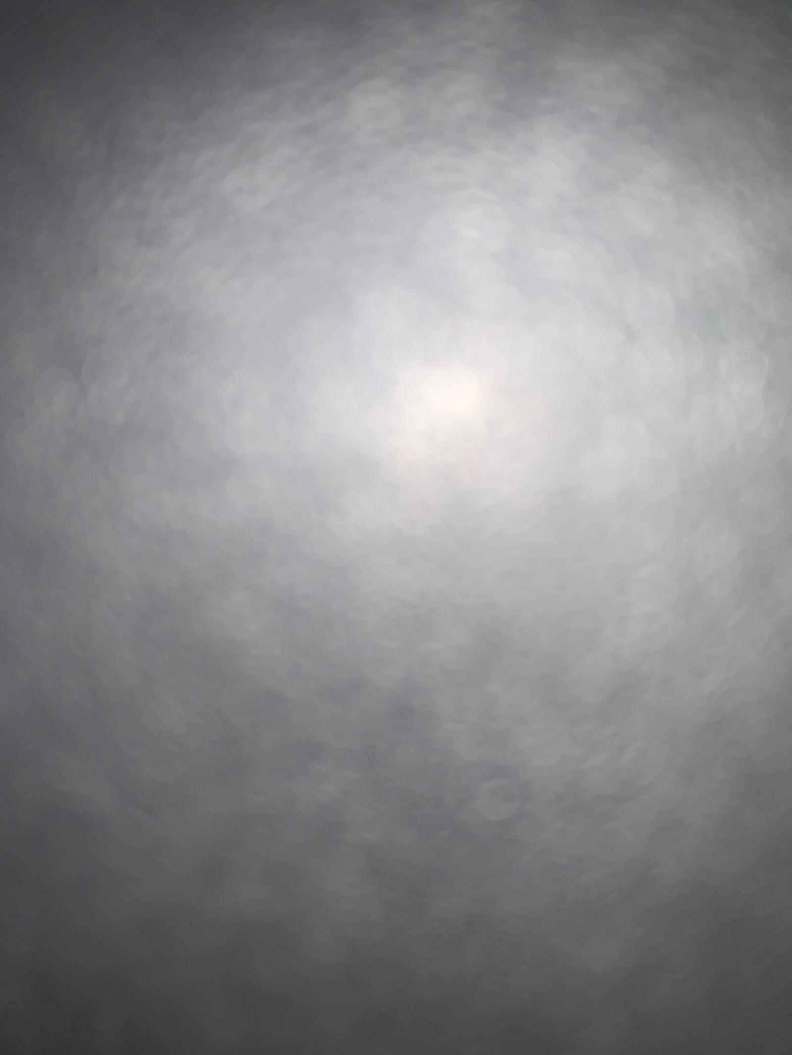 u173097675's avatar