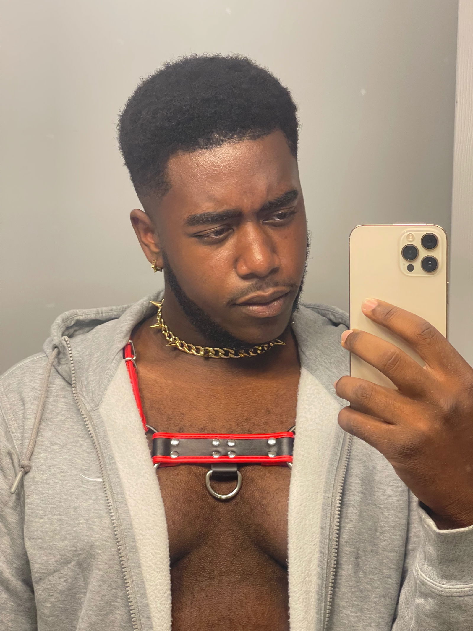 Papa bear's avatar