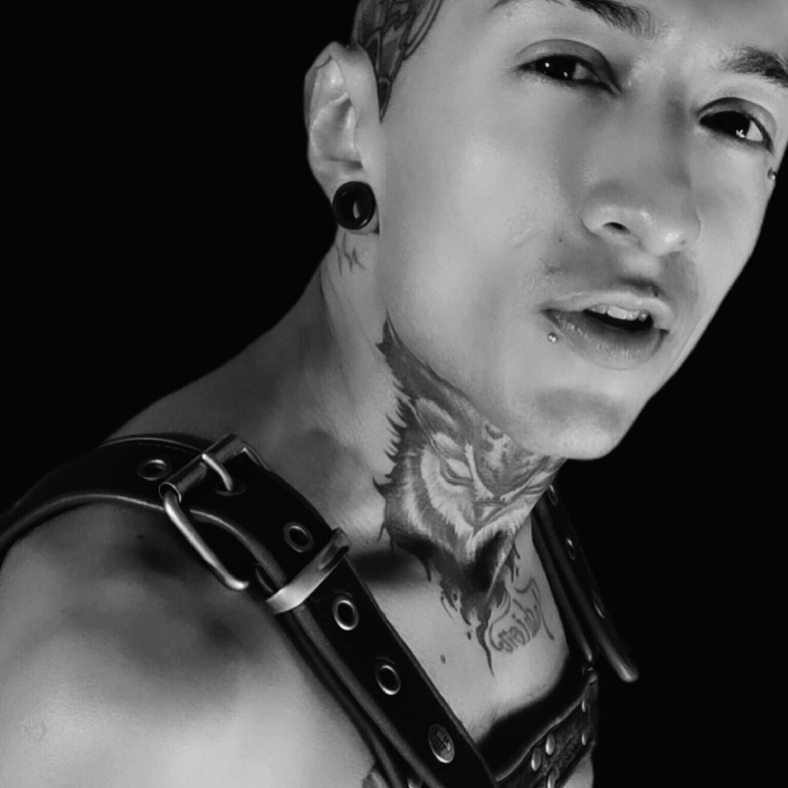 Paul Docux's avatar