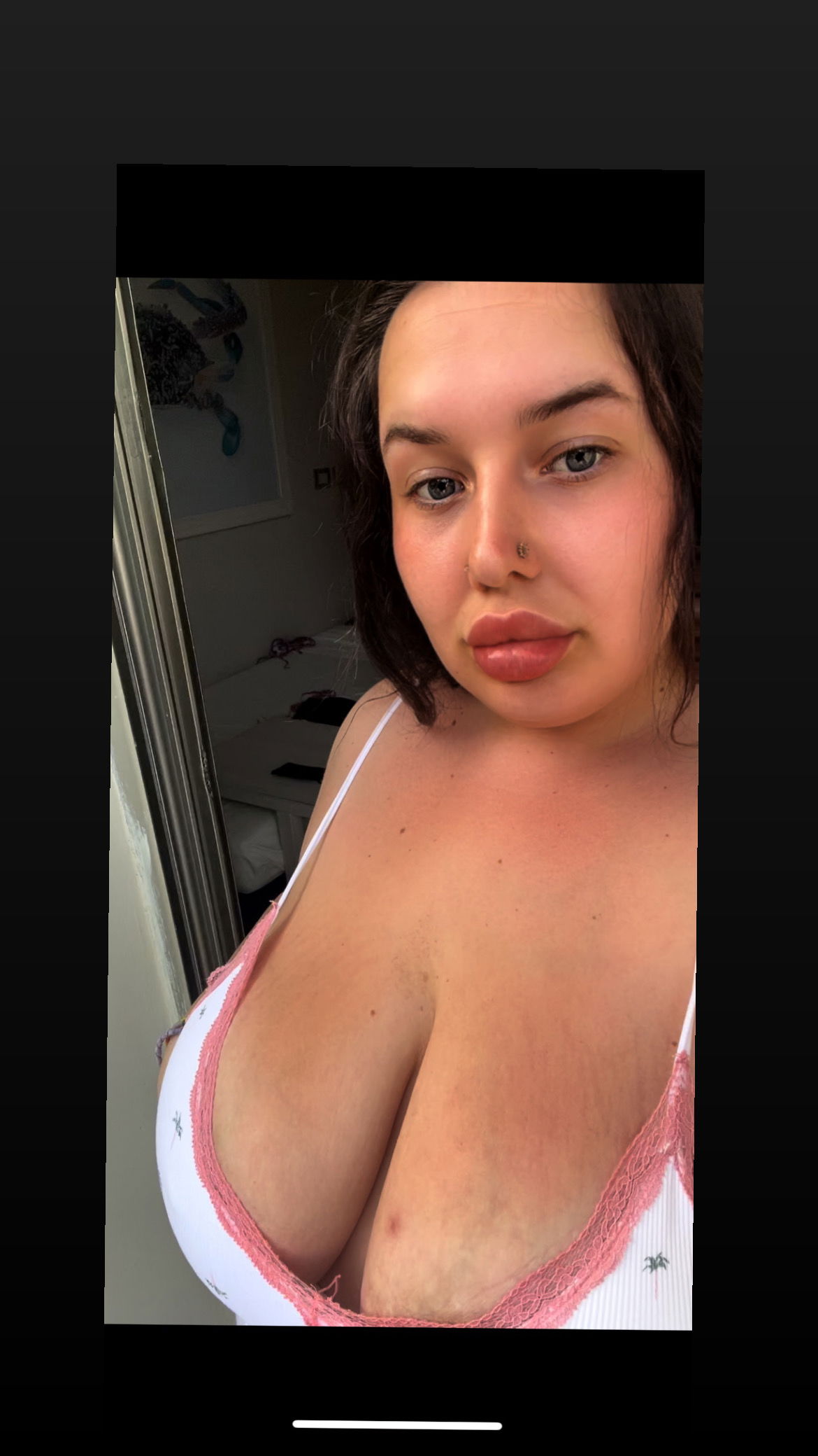 pawgdestiny