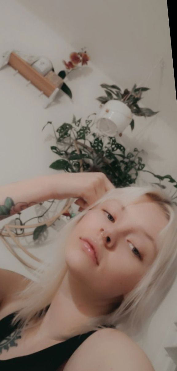 Butterfly queen's avatar