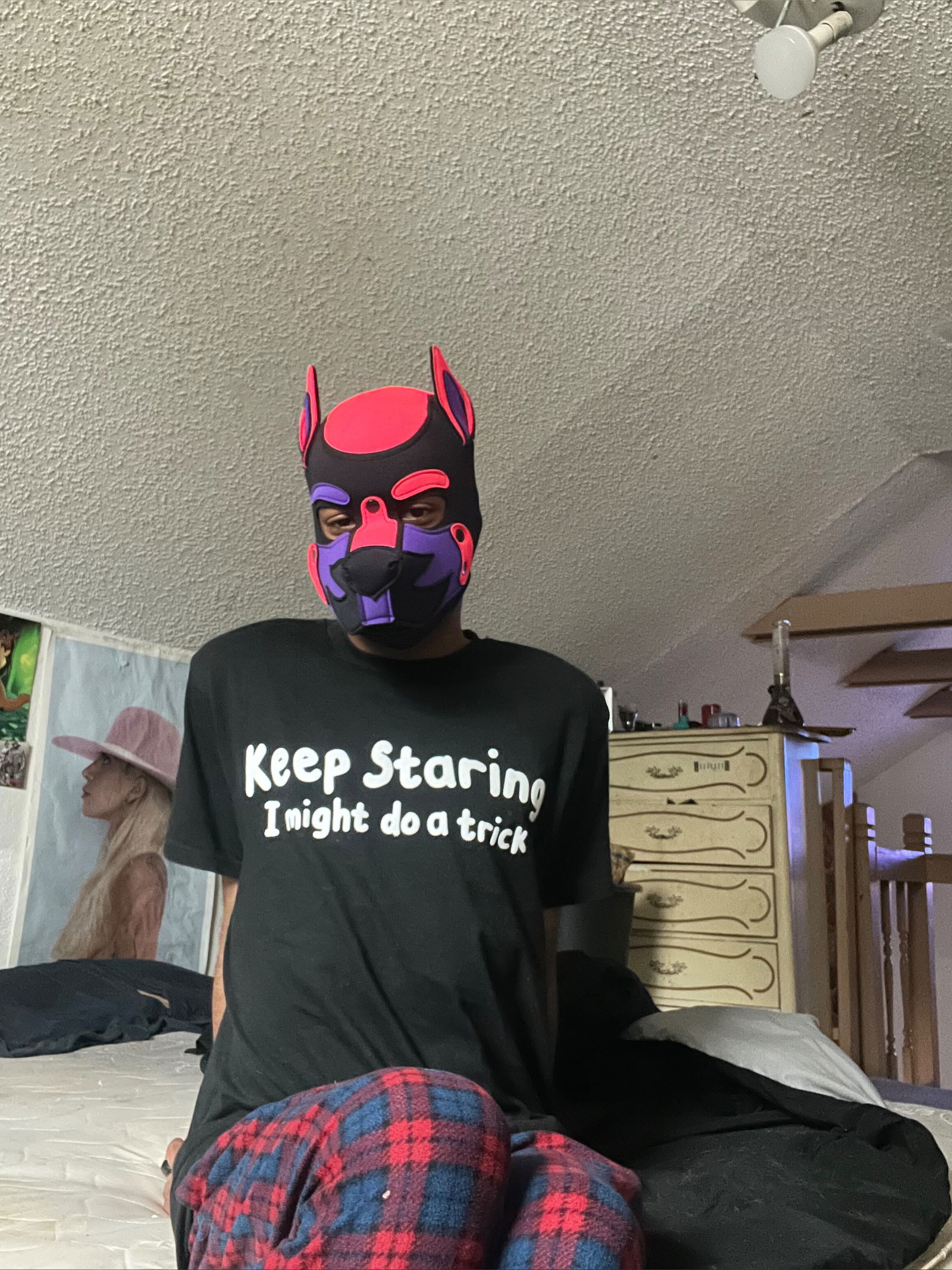 🦴pup_bruce🐶🐶