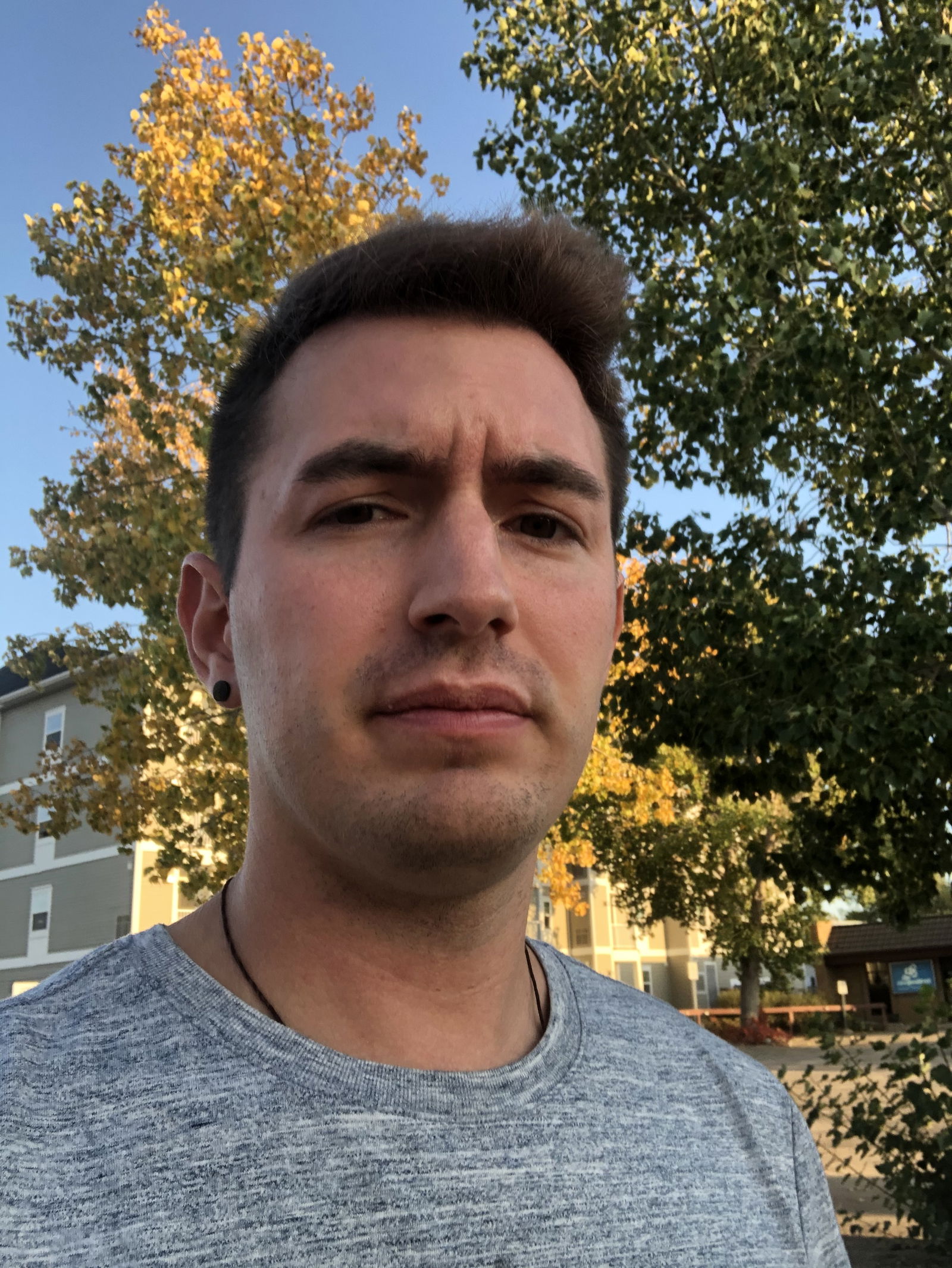 pflanzdaddy's avatar