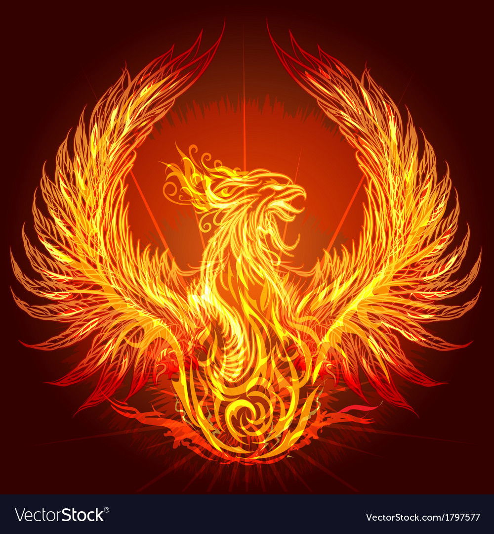 The Dark Bird of Light