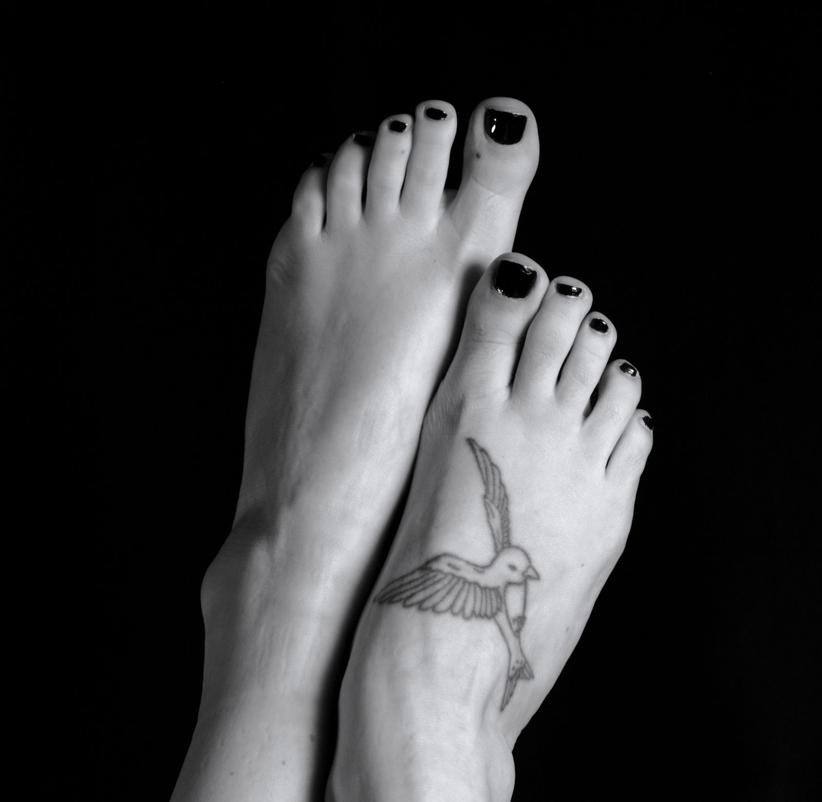 Piaf.Pied's avatar