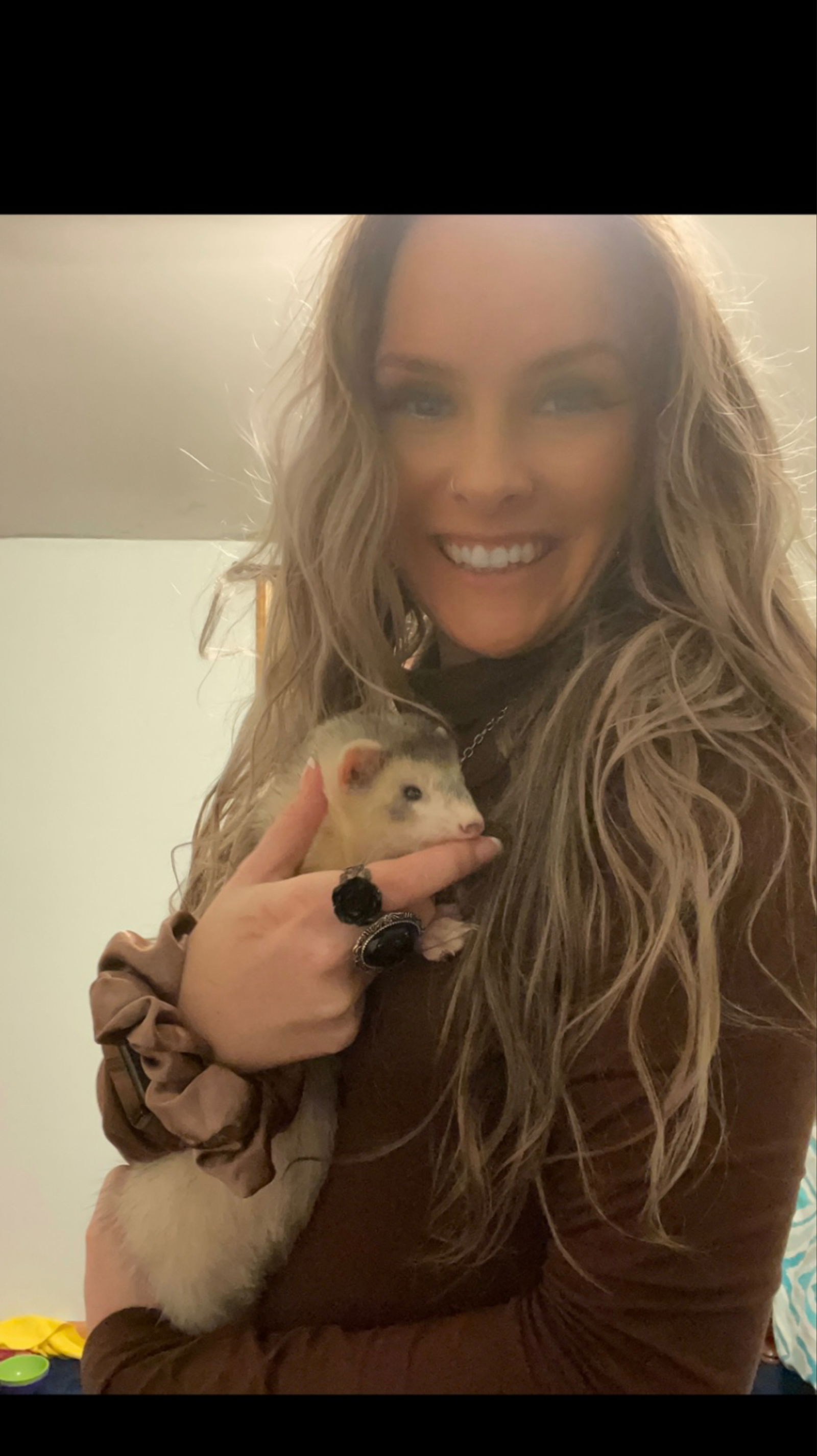 Piper Willis's avatar