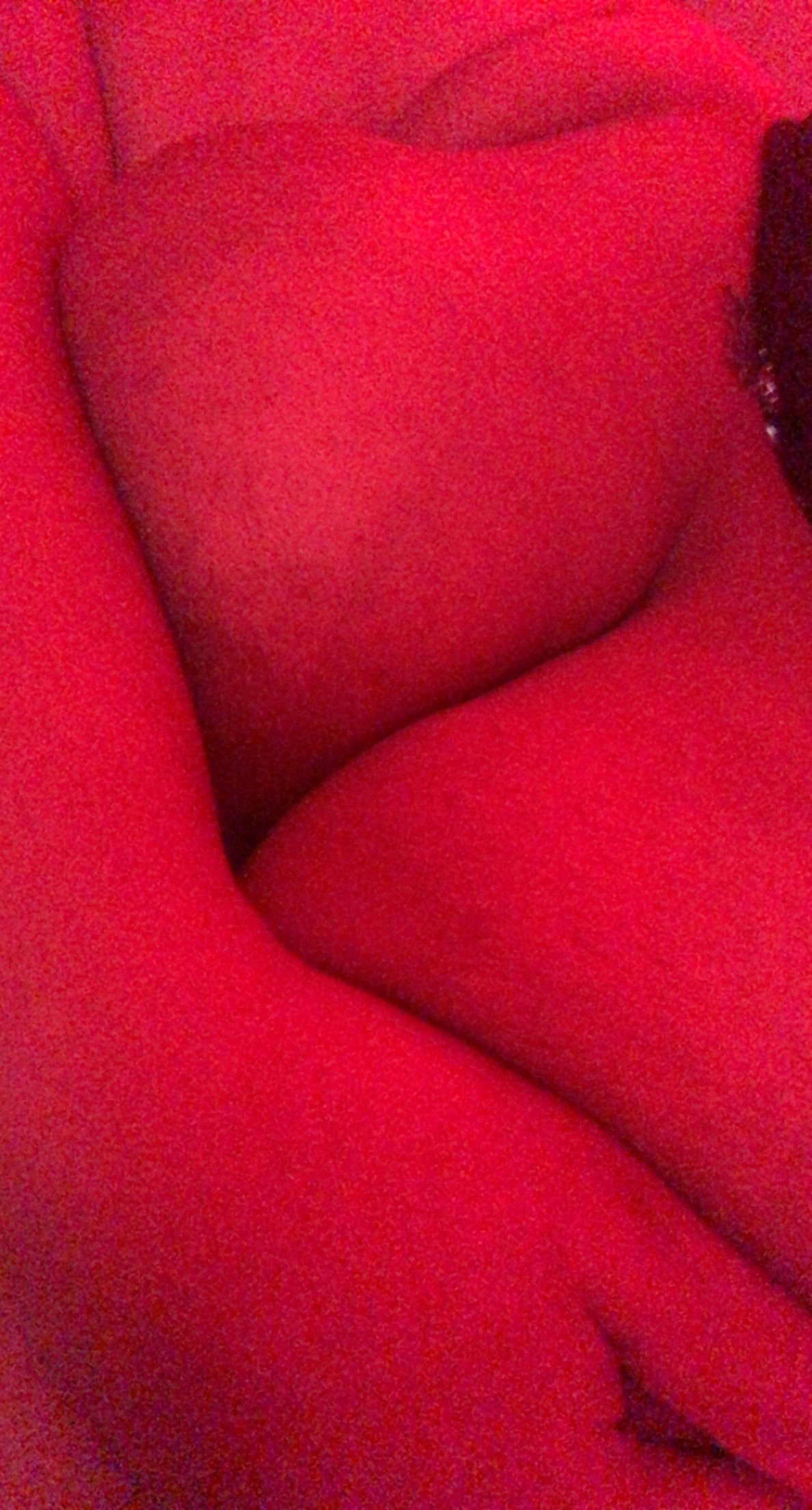 Platinum_c00kie Phoenixxx's avatar