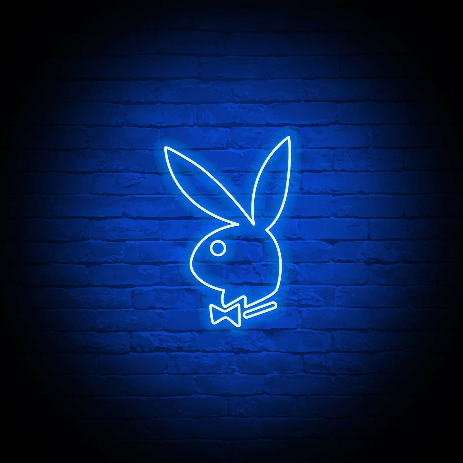 PlayBoy