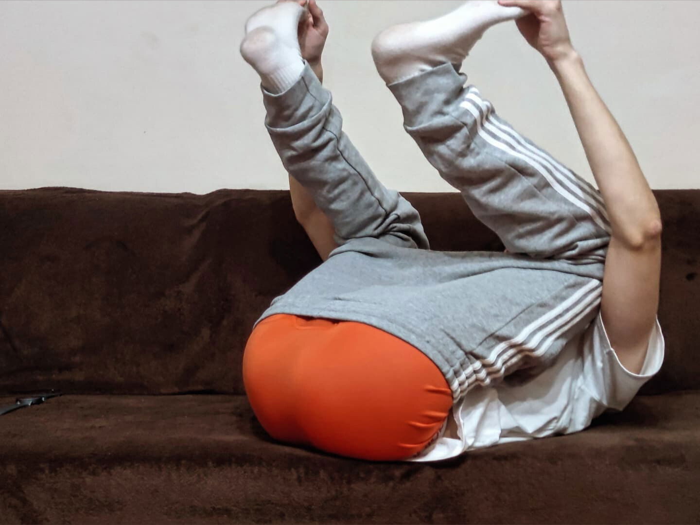 PolishFarts