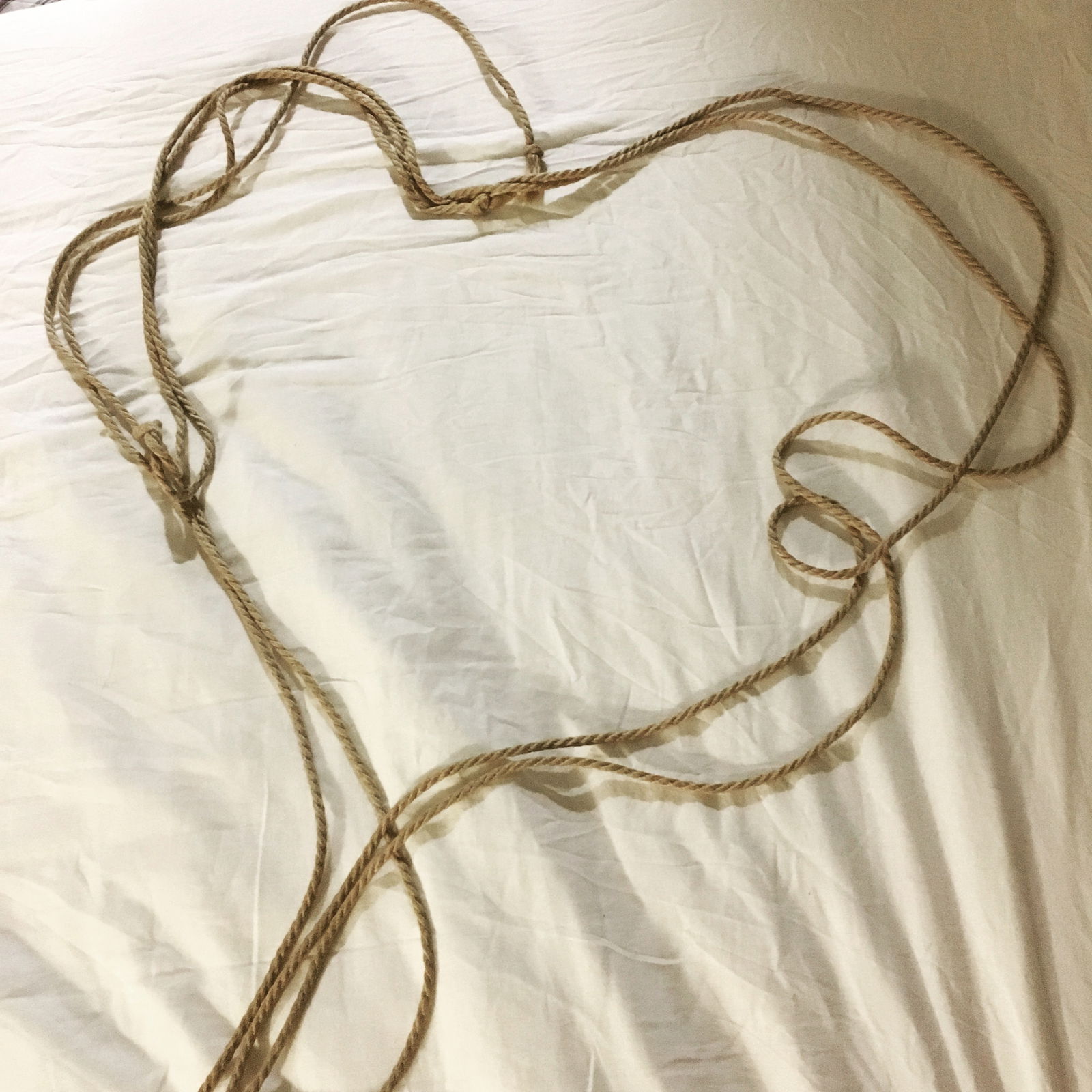 priest rope's avatar