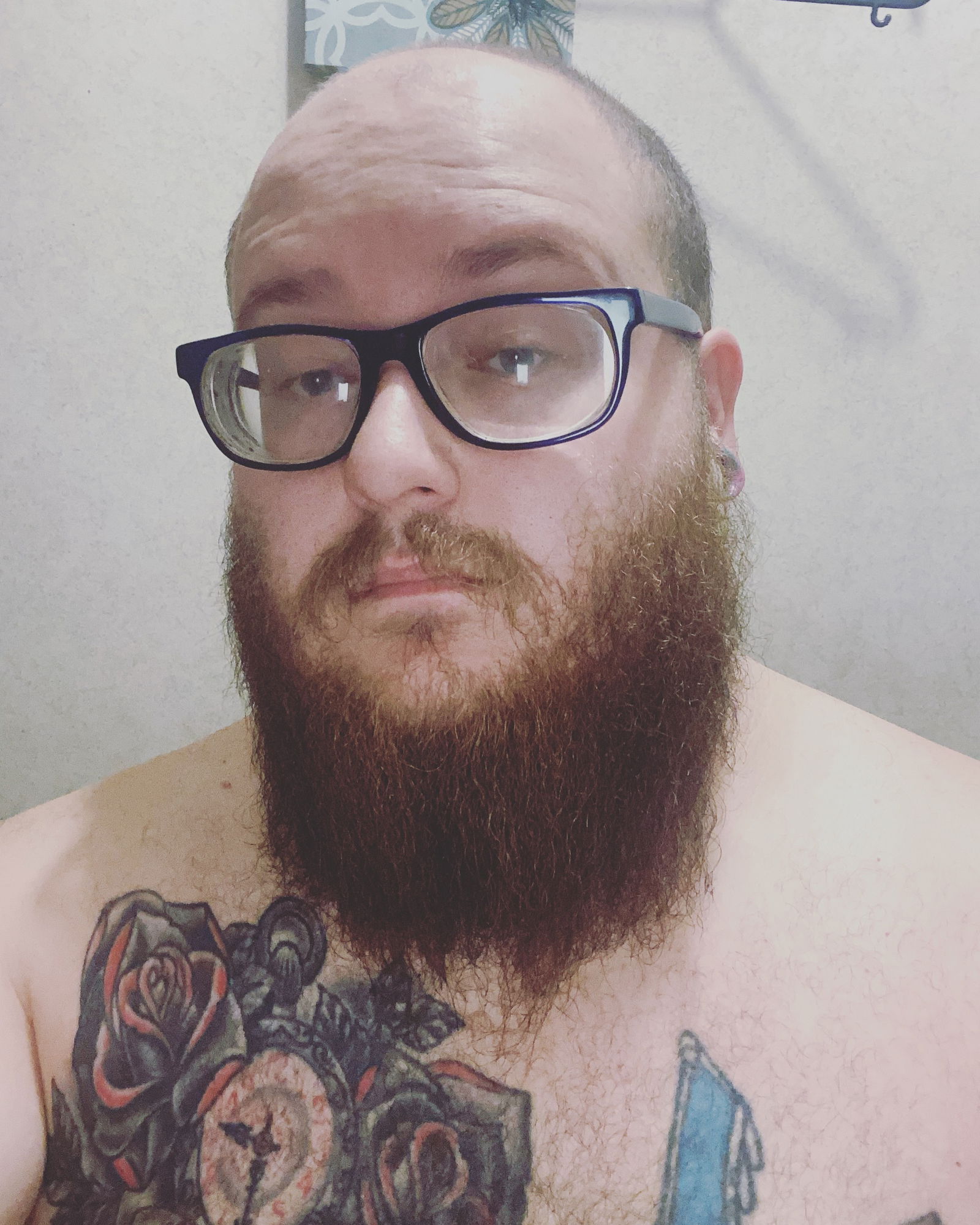 Prime Beef's avatar