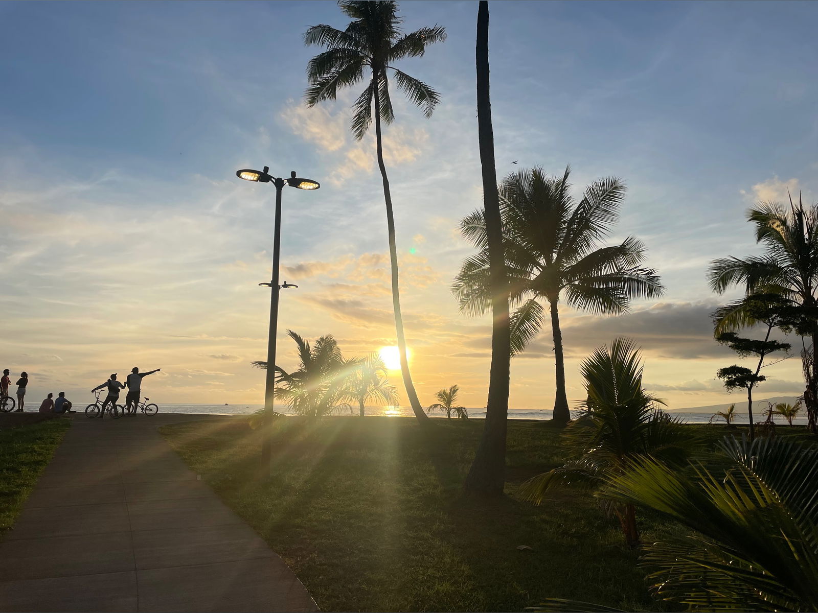 TheSunsetKing