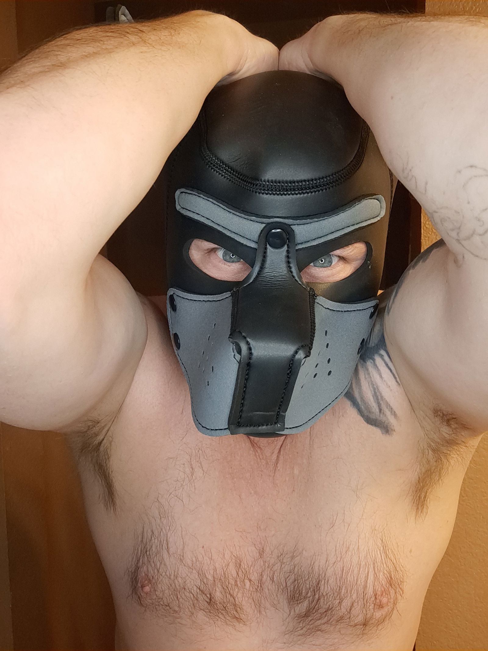 PUP3737's avatar