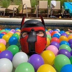 fluffyprotogen's avatar