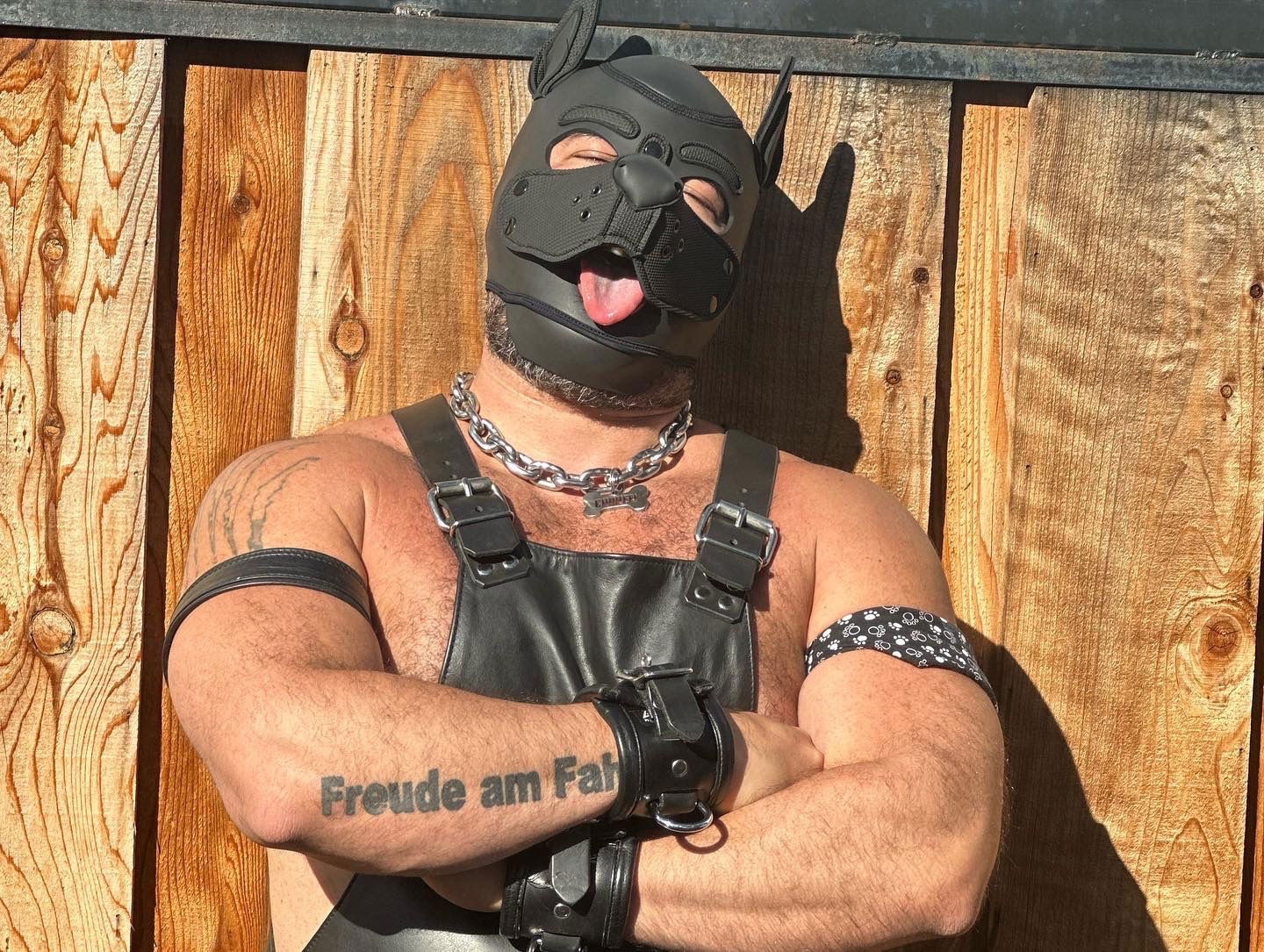 Chuken dog's avatar
