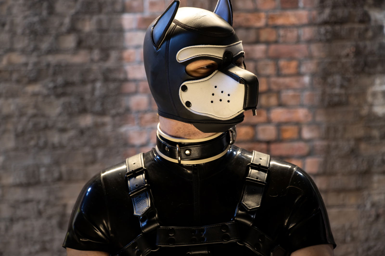 Pup Frost's avatar