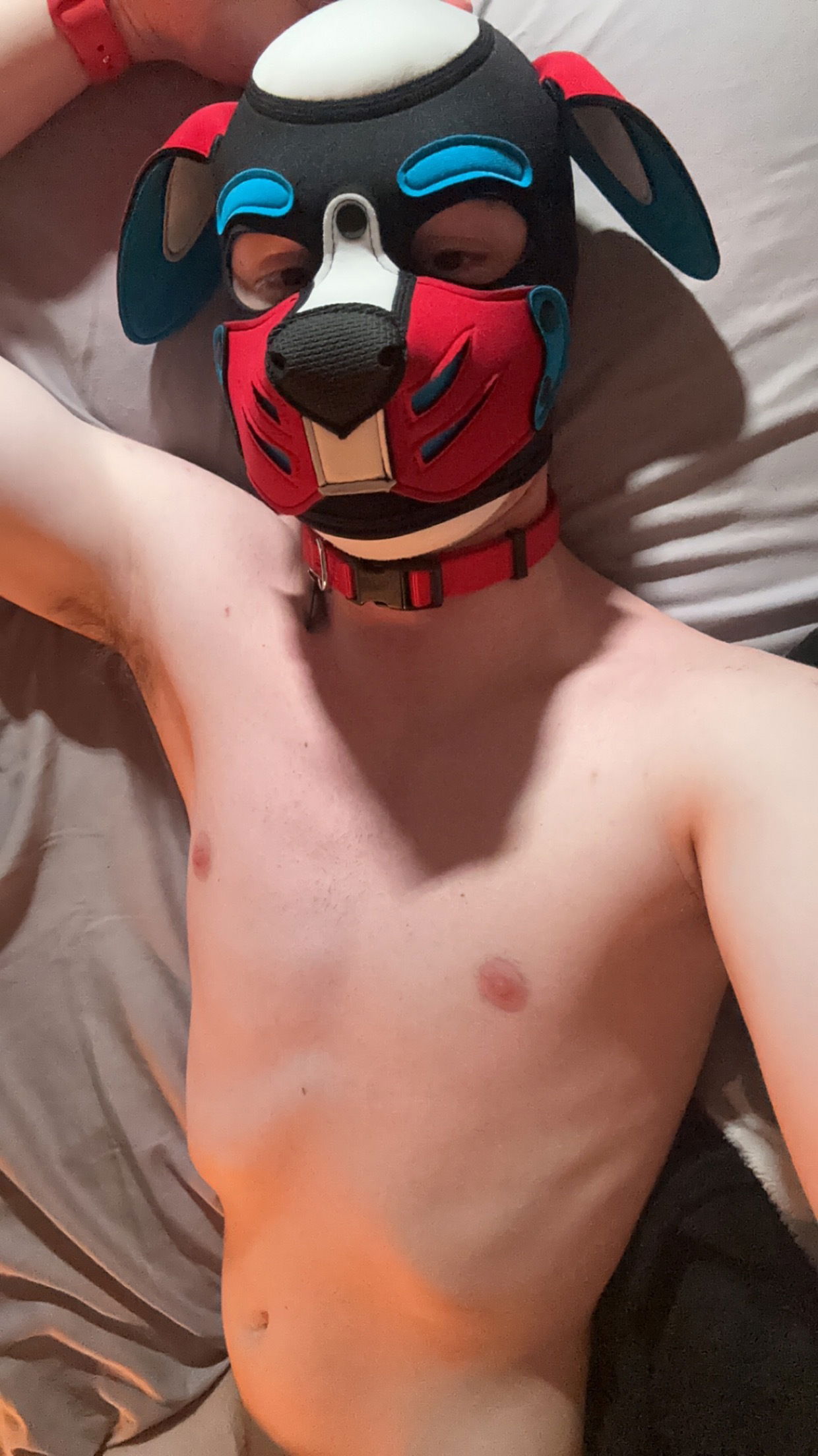 Pup Orpheus's avatar