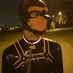 Quinnlyn's avatar