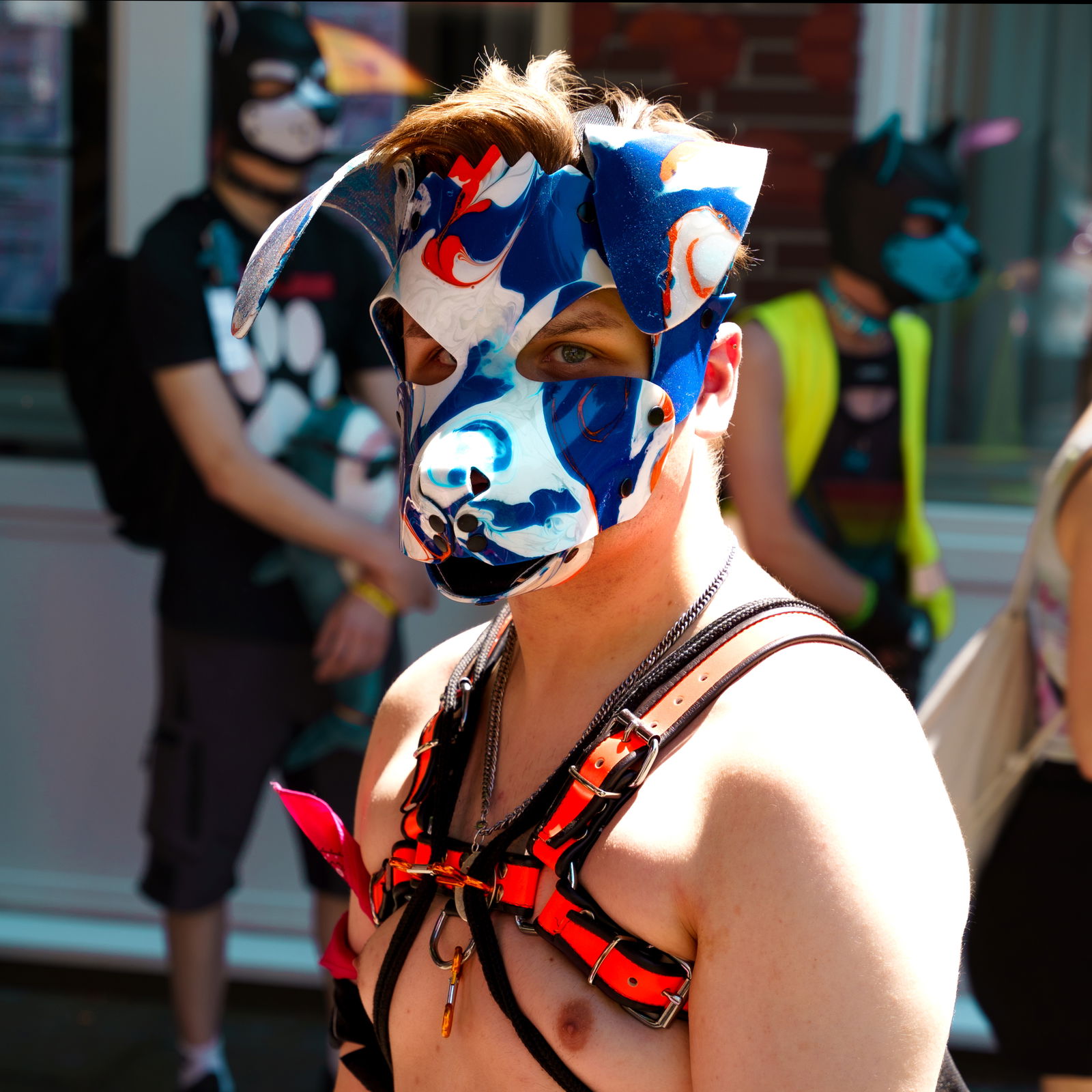 Quentin the pup's avatar