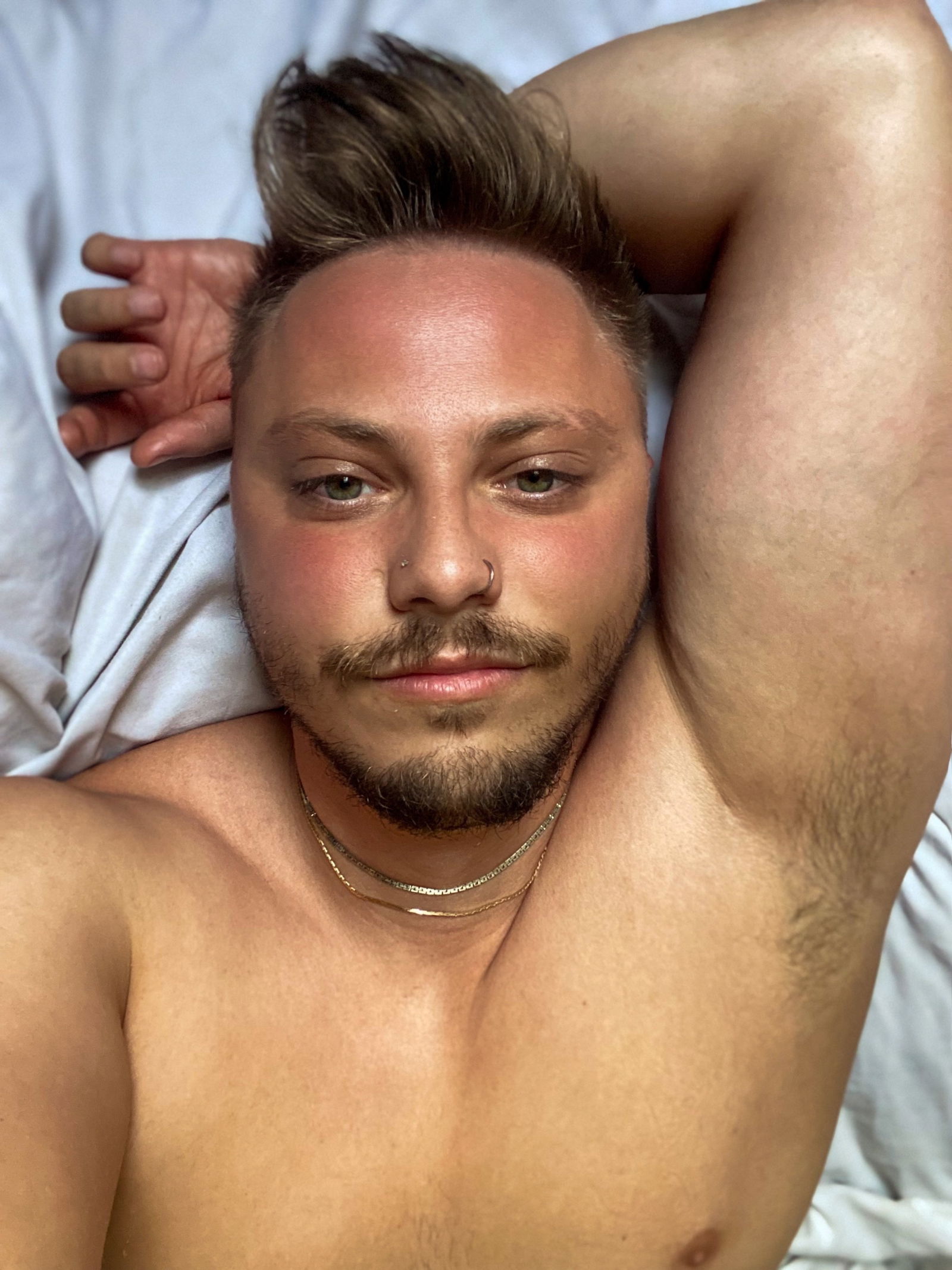 Pup Ardent's avatar