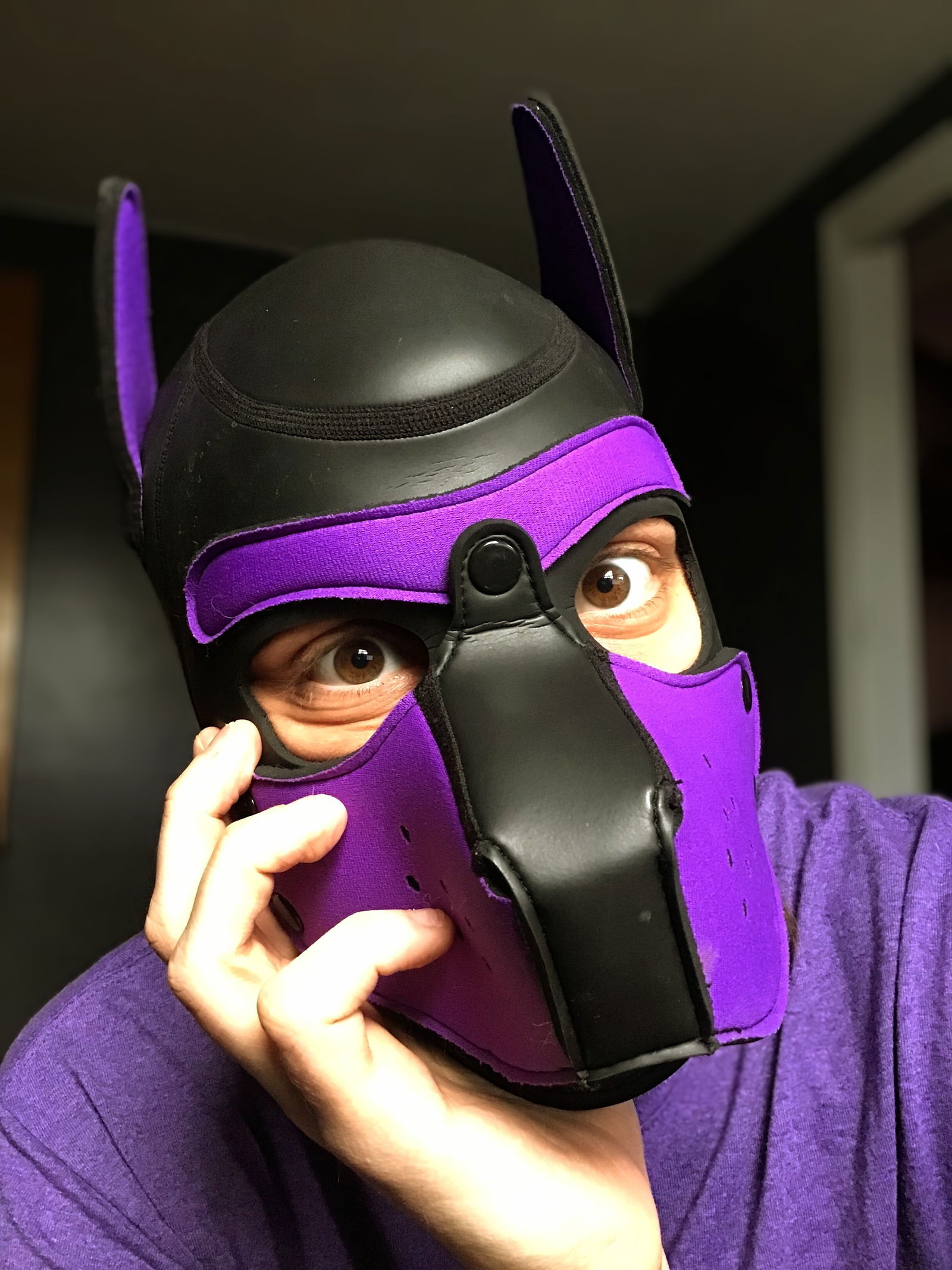Pup Asche's avatar